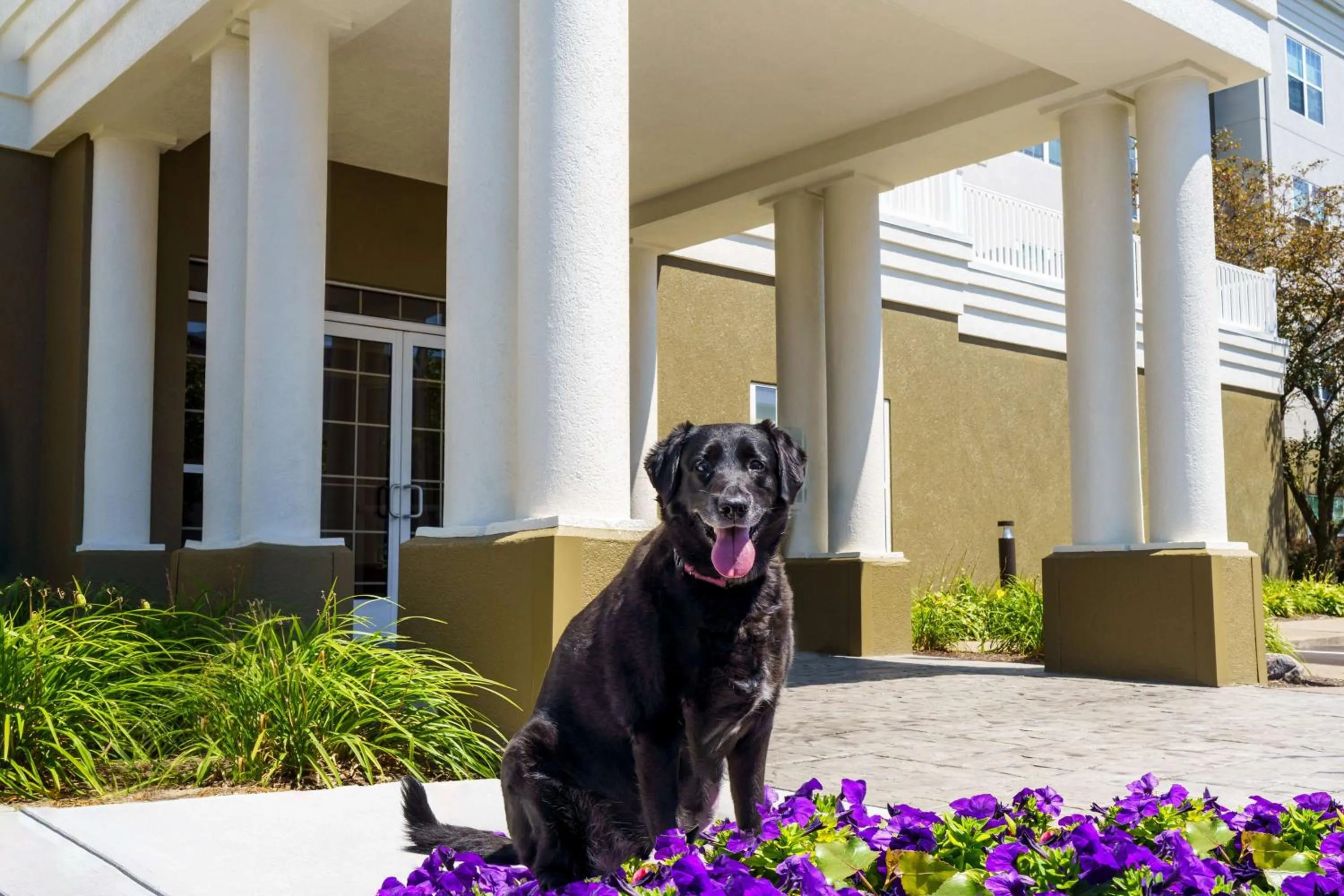 Property building in Homewood Suites by Hilton Erie