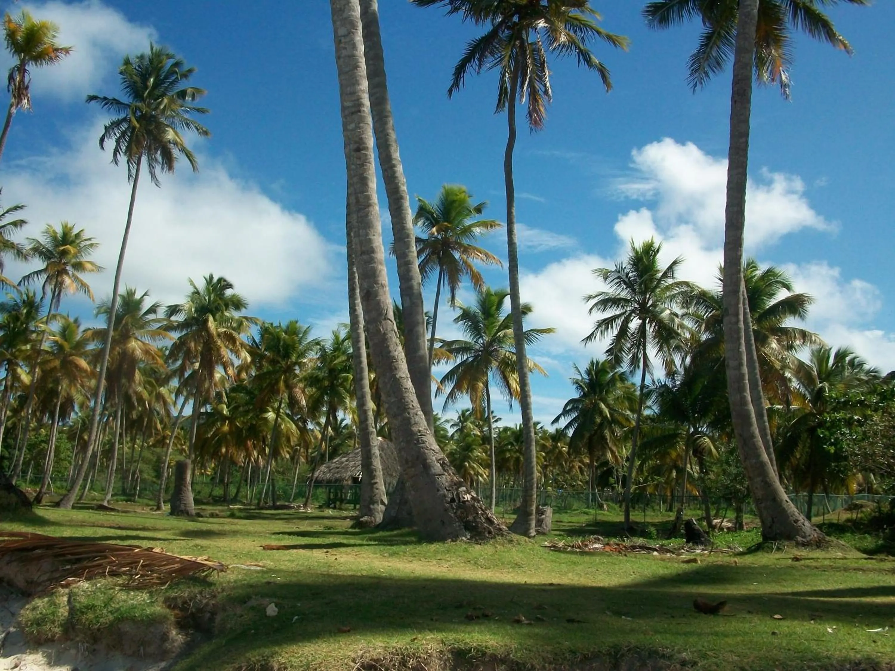 Day in Villa La Caleta