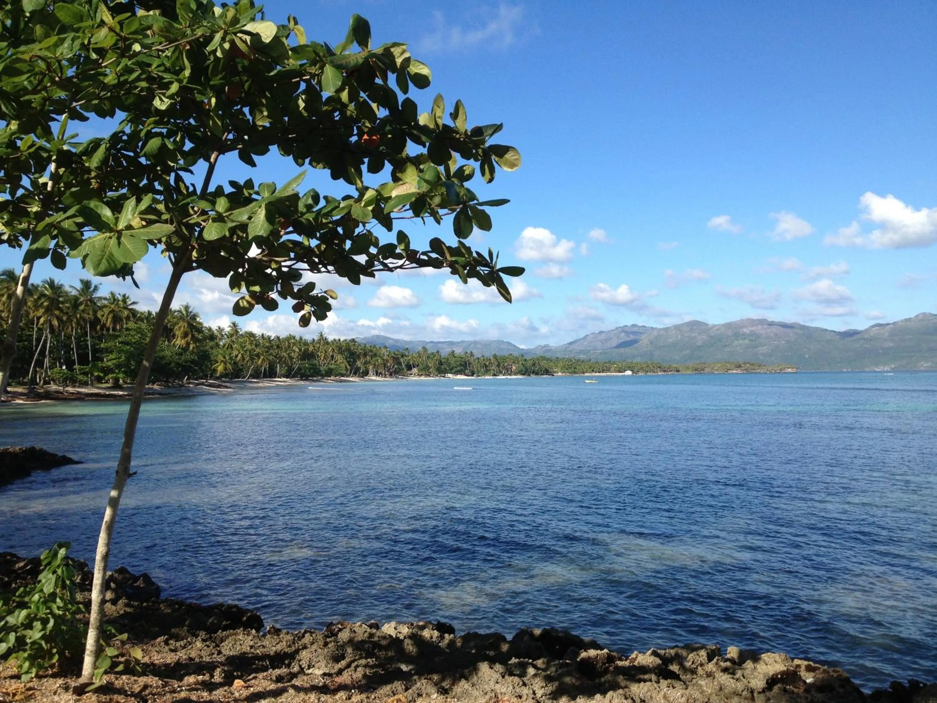 Beach in Villa La Caleta
