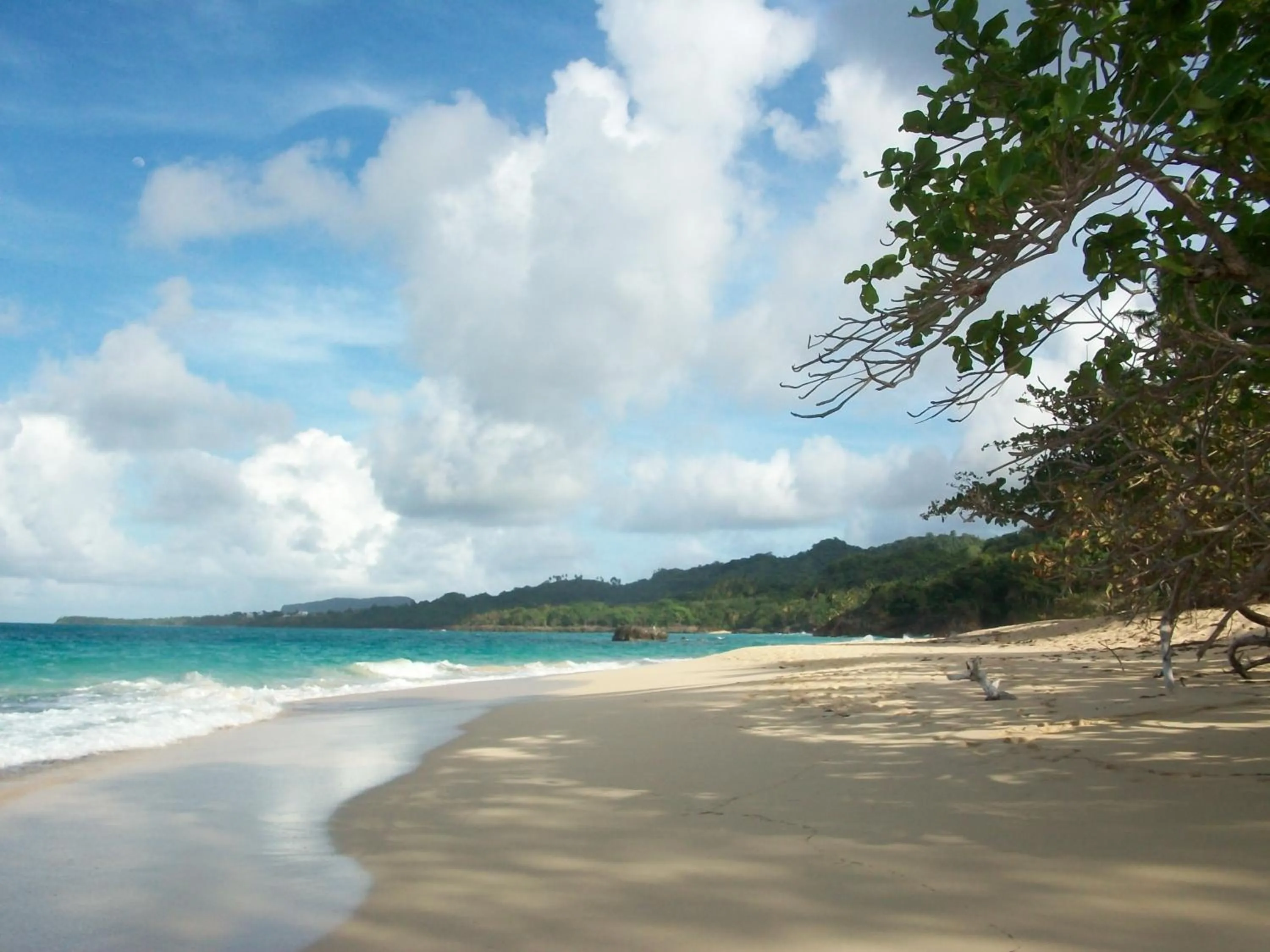 Beach in Villa La Caleta