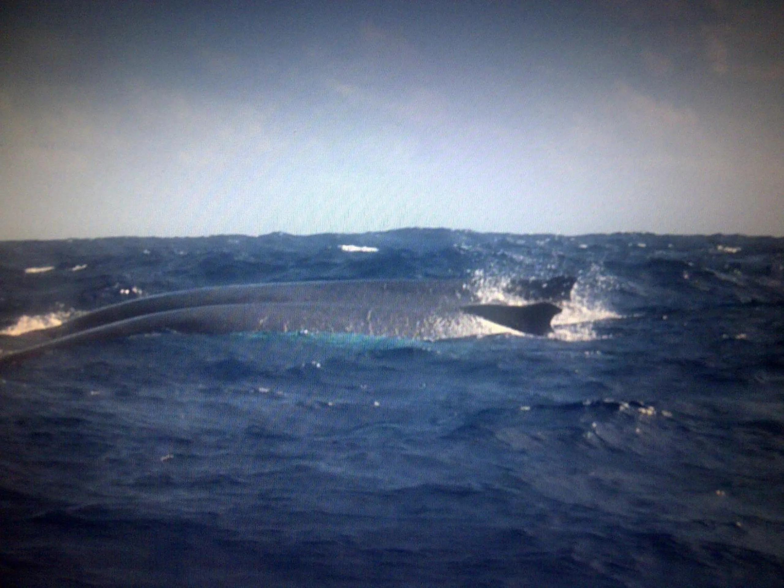 Other in Villa La Caleta