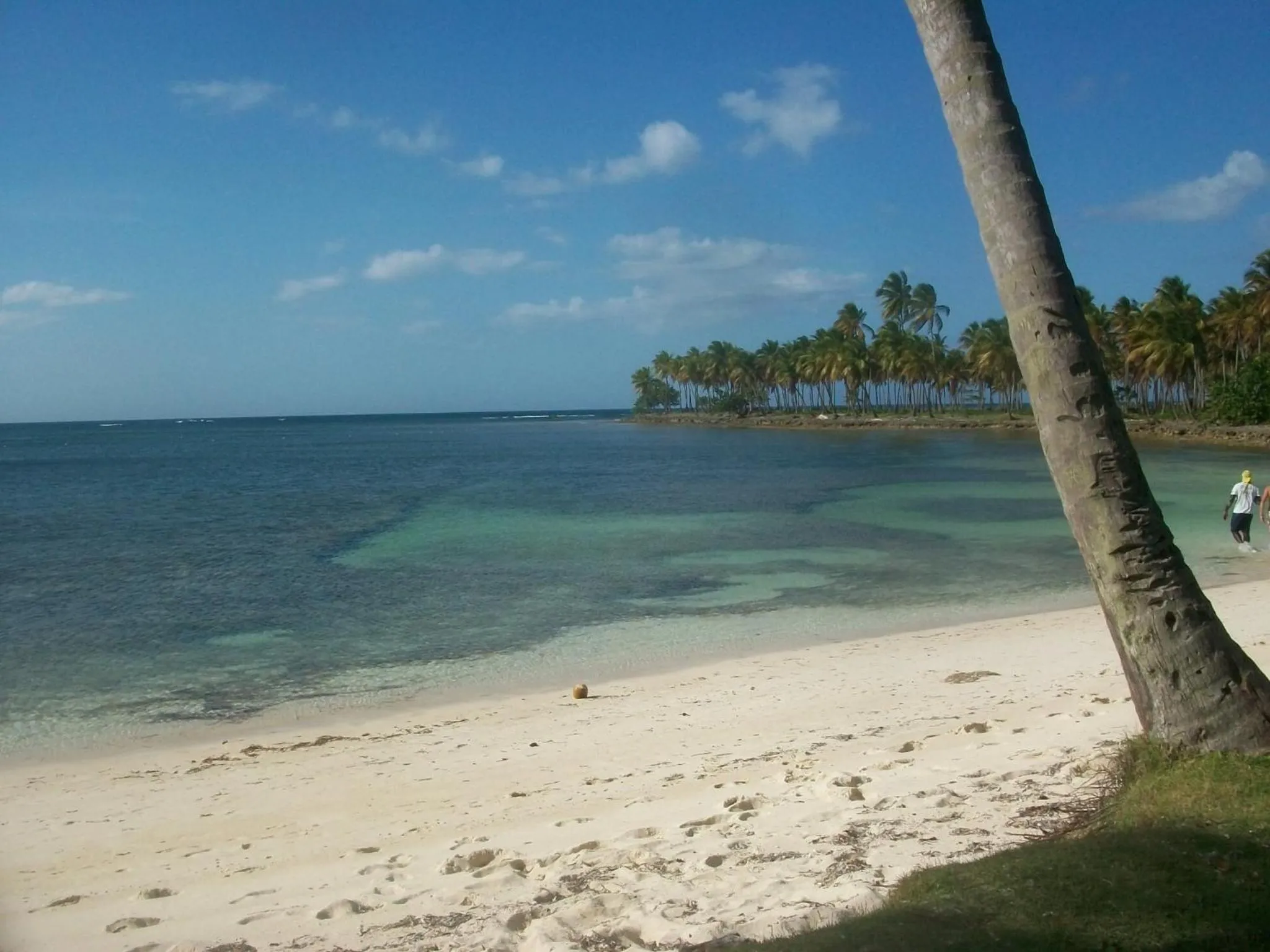 Beach in Villa La Caleta