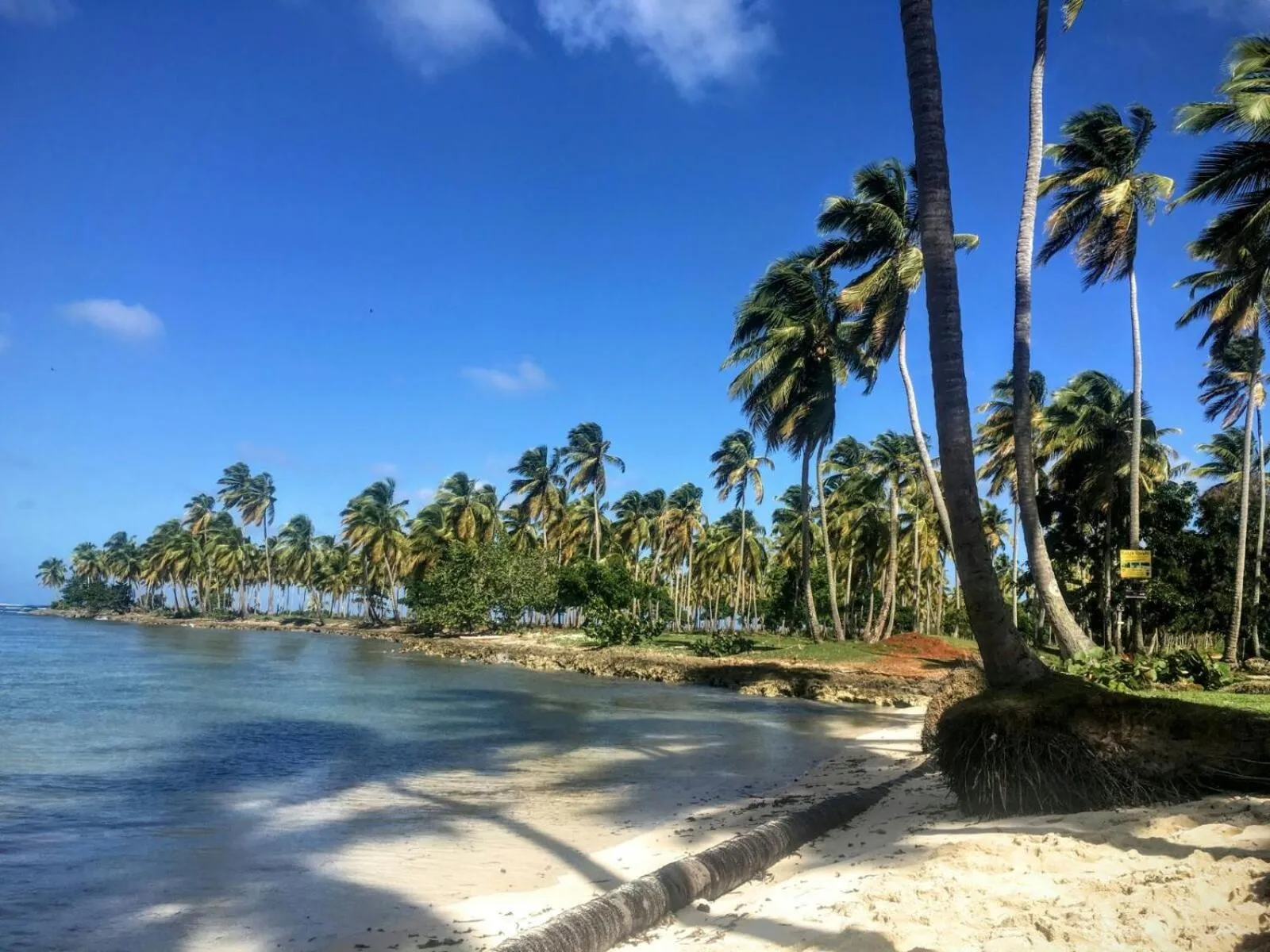 Beach in Villa La Caleta