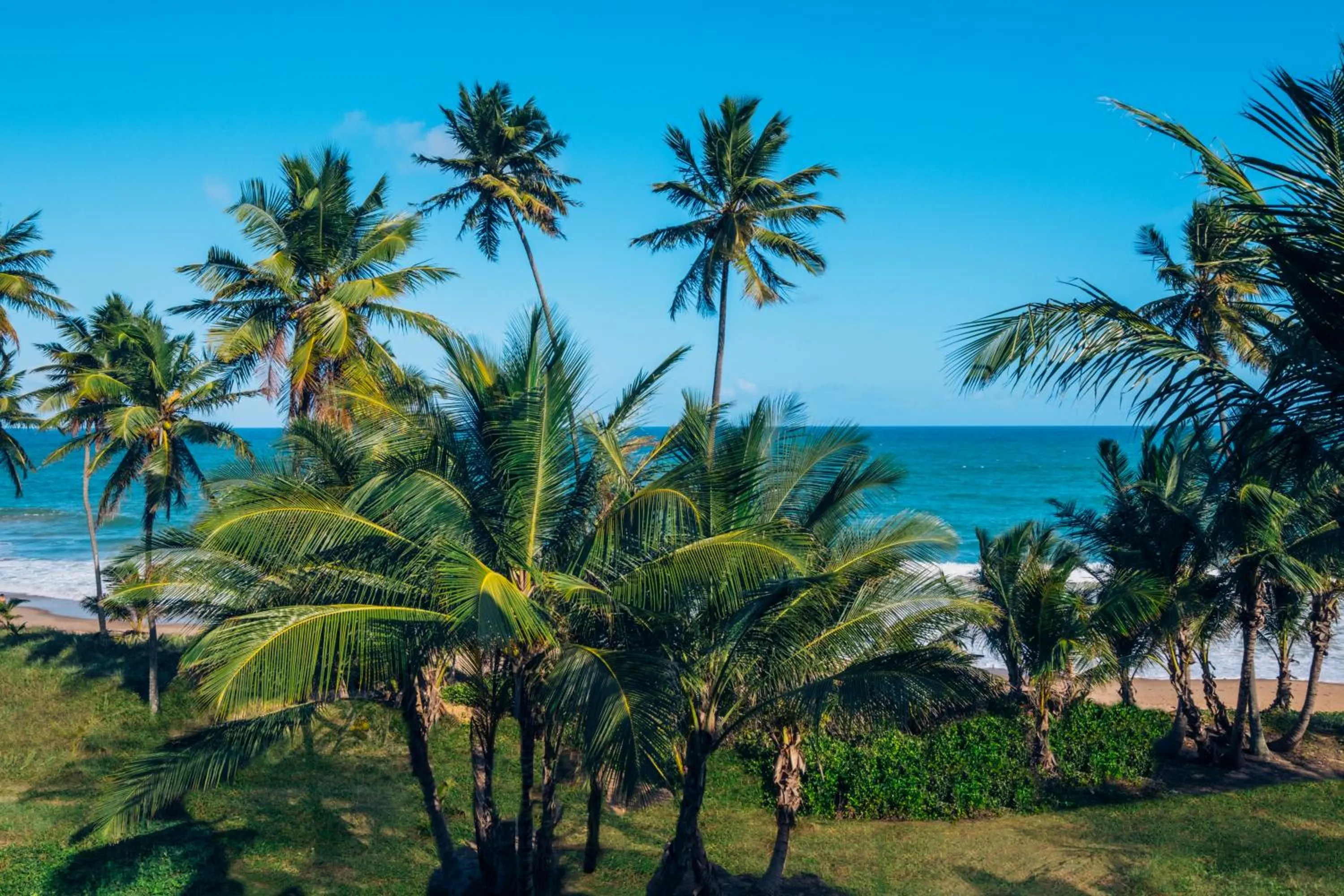 View (from property/room) in Iberostar Waves Bahia - All Inclusive