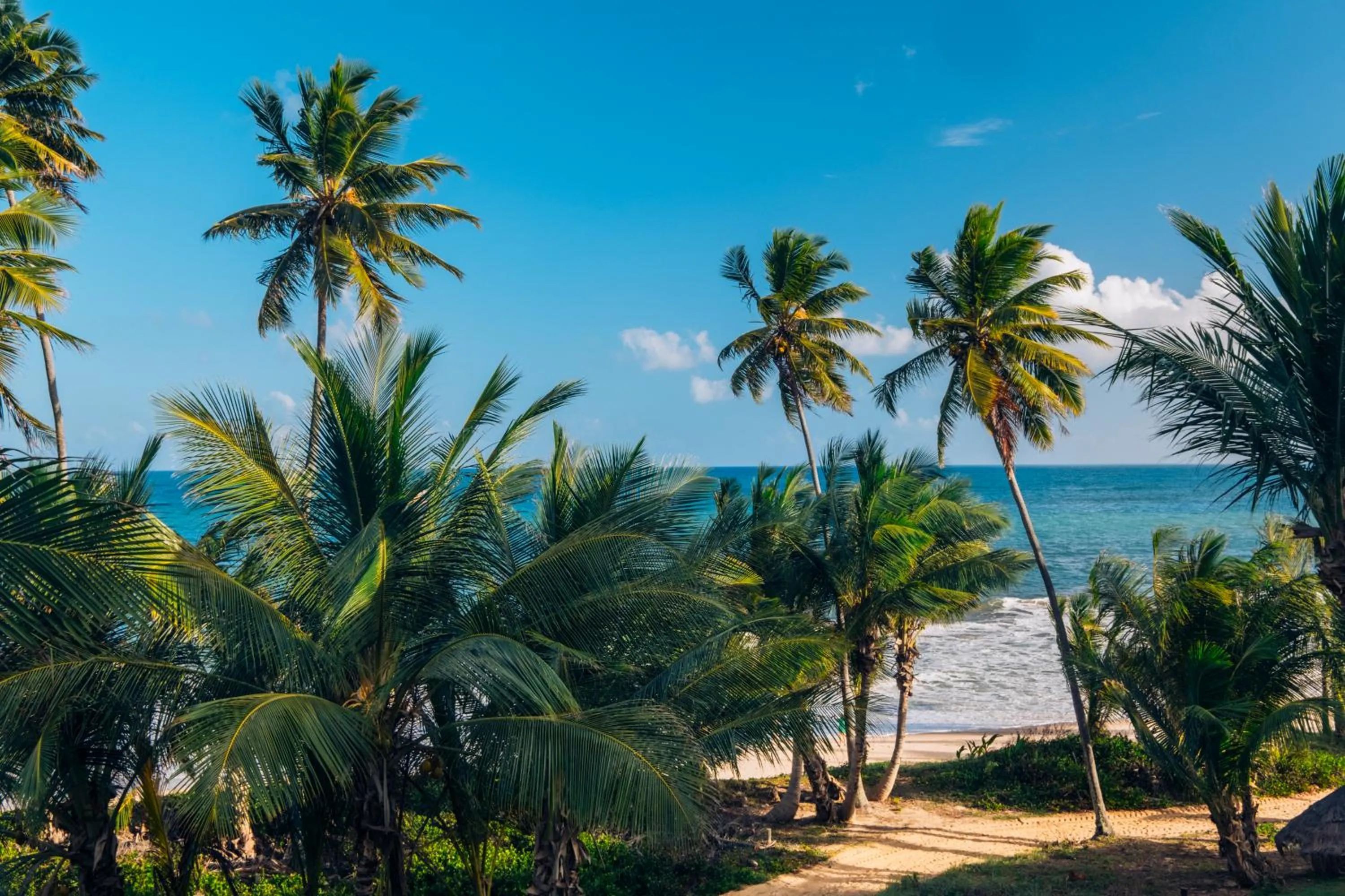 View (from property/room) in Iberostar Waves Bahia - All Inclusive
