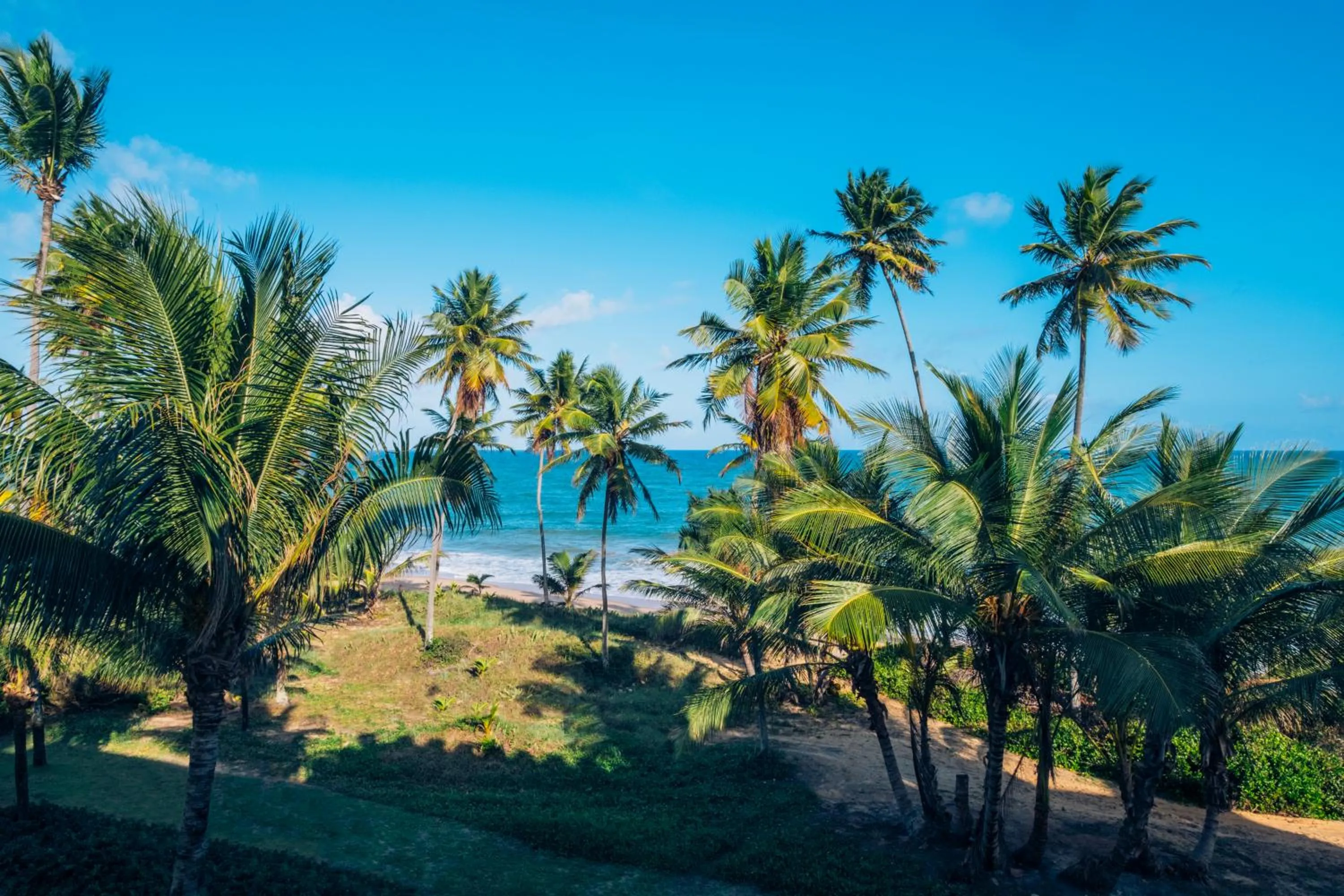 View (from property/room) in Iberostar Waves Bahia - All Inclusive