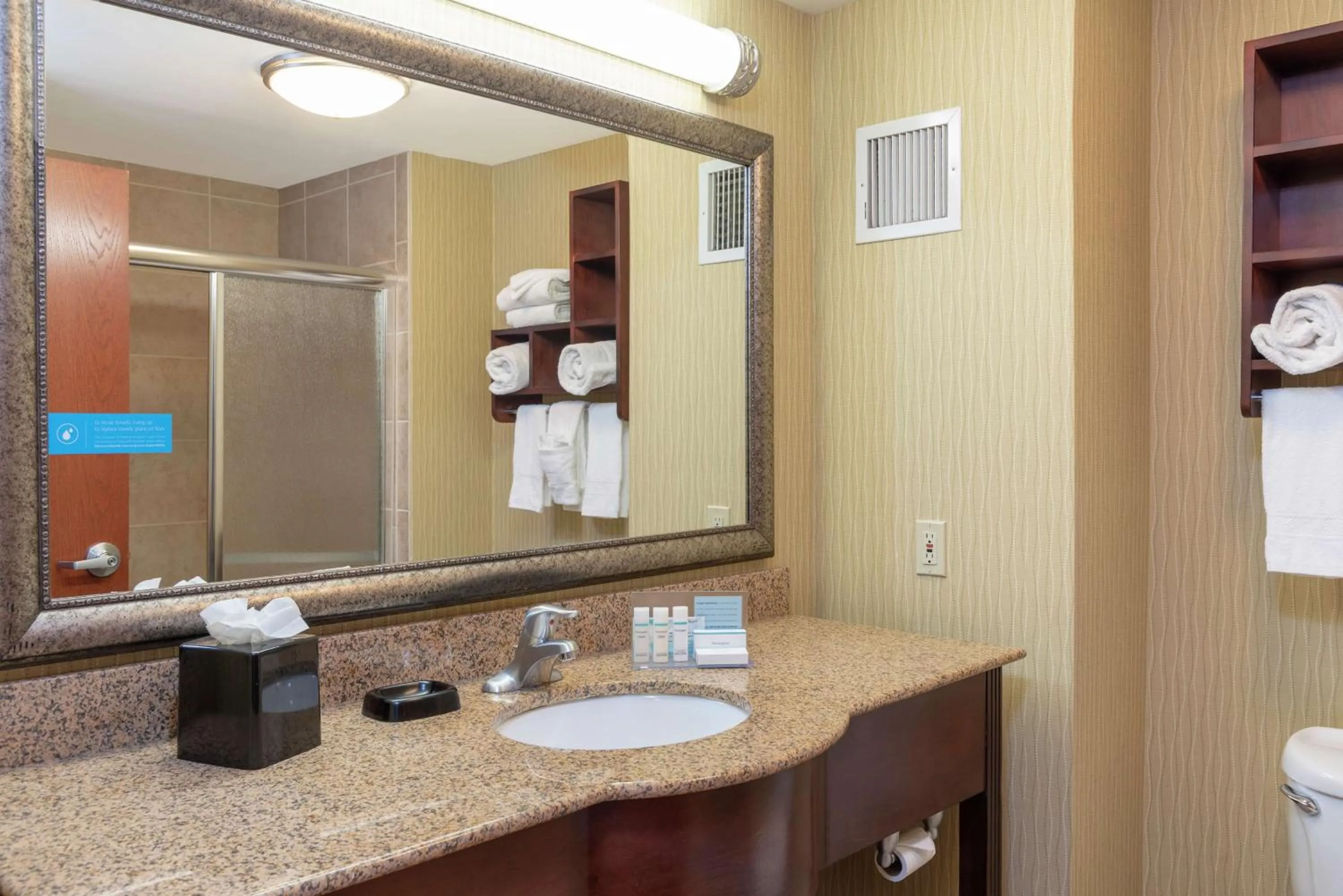 Bathroom in Hampton Inn East Lansing