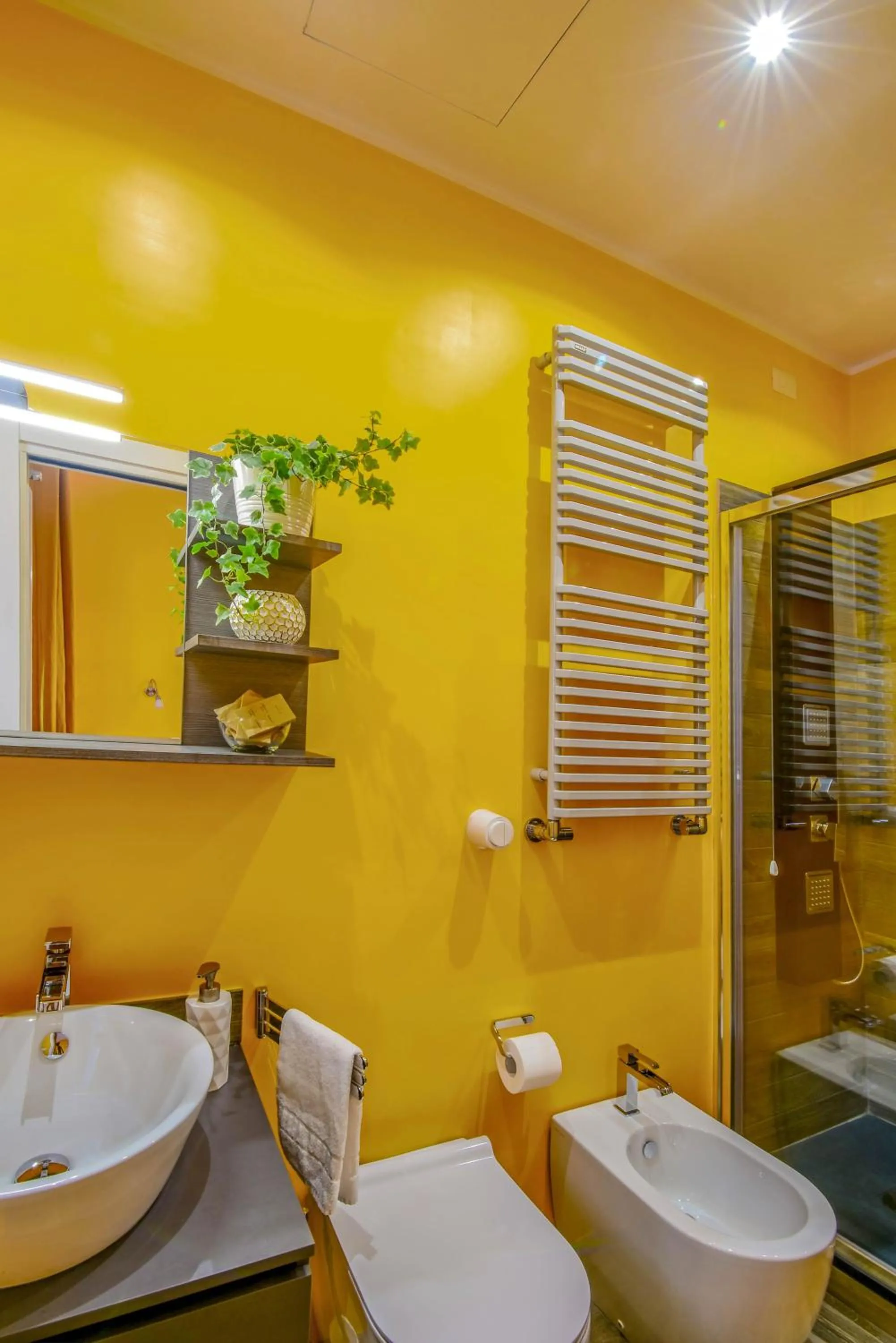 Shower in Allegra's House Caracciolo