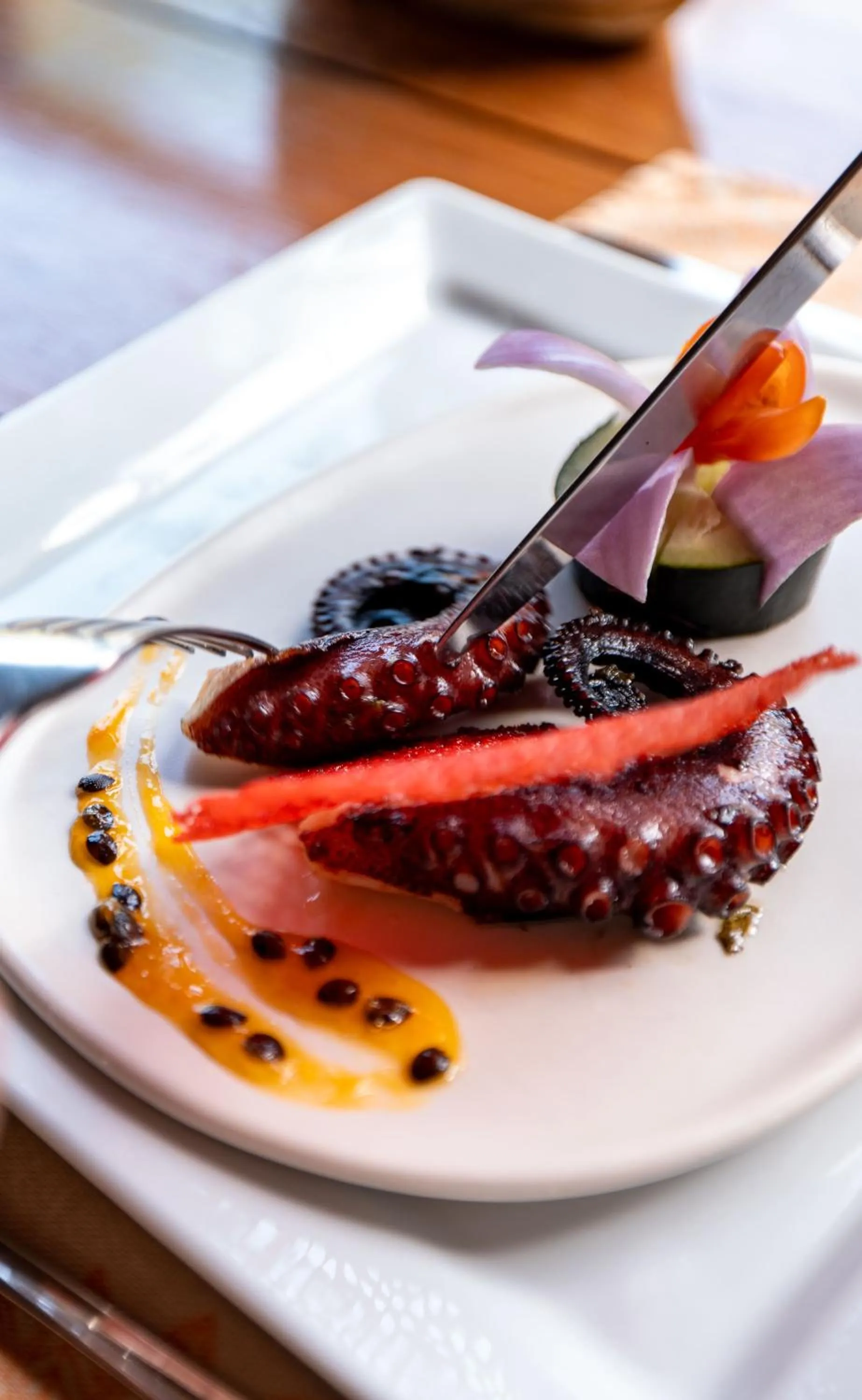 Food and drinks in Hamadryade Lodge