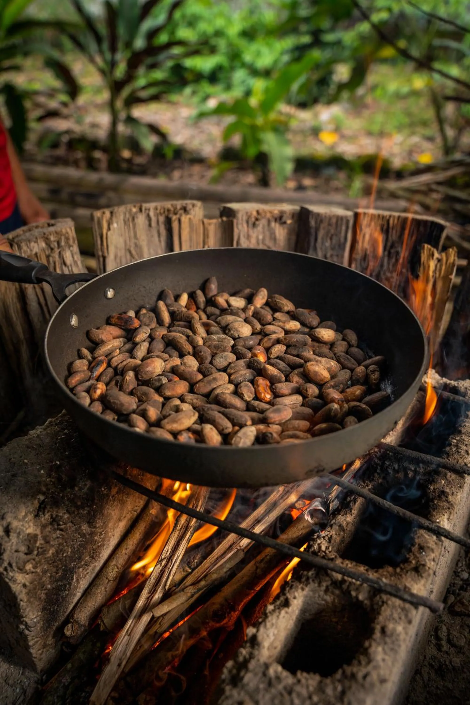 Activities in Hamadryade Lodge