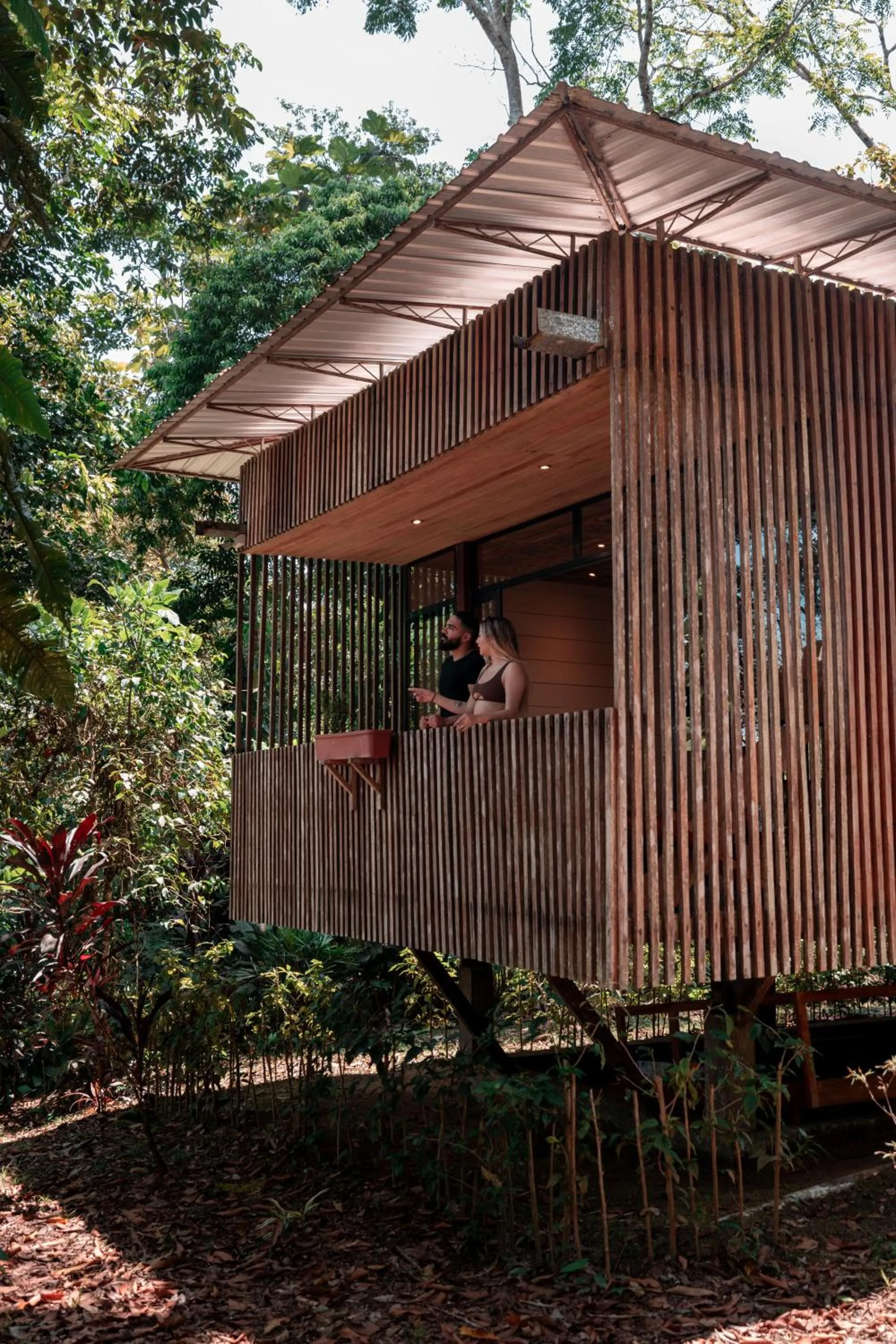 Property building in Hamadryade Lodge