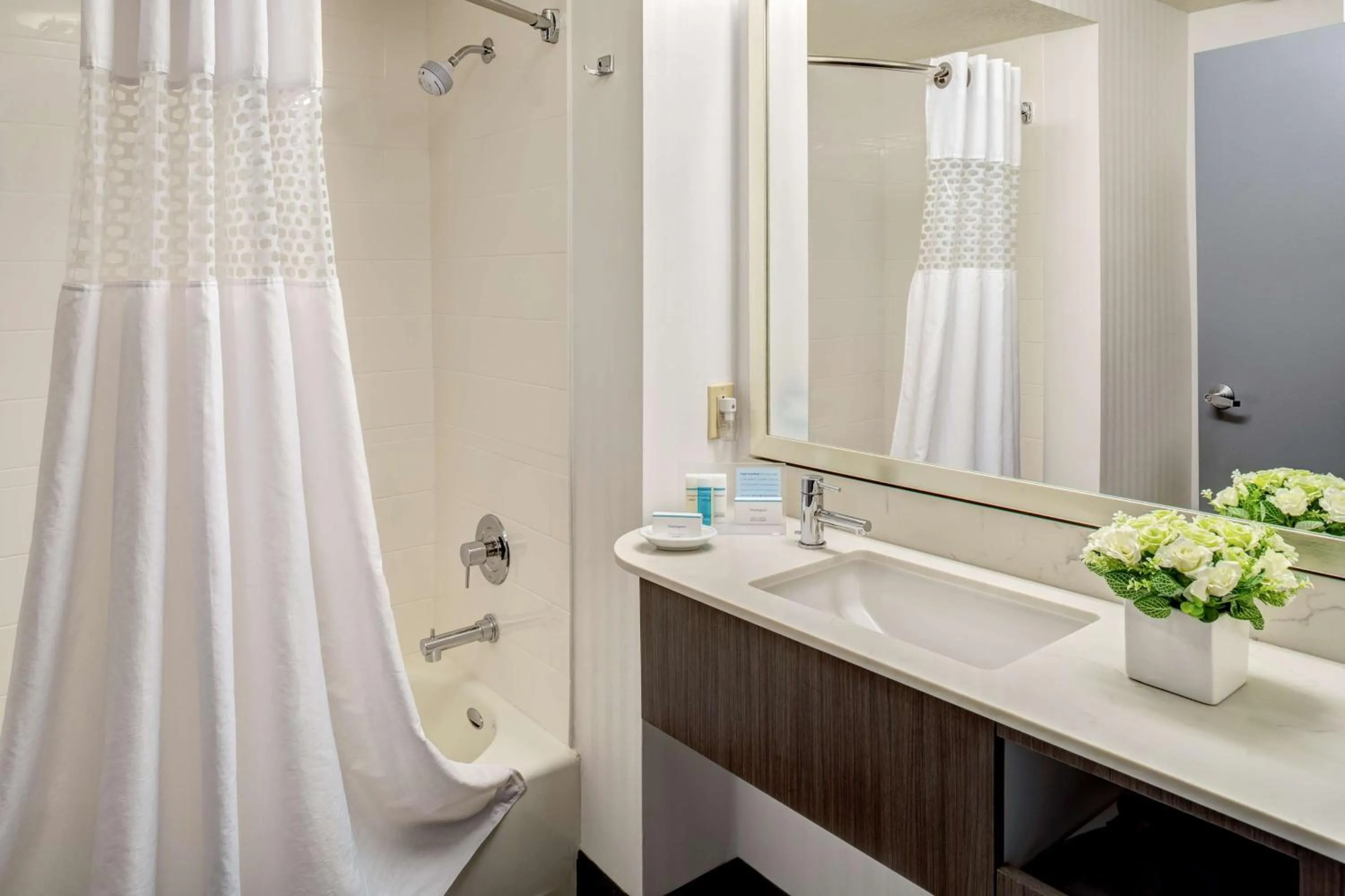 Bathroom in Hampton Inn & Suites Palm Desert