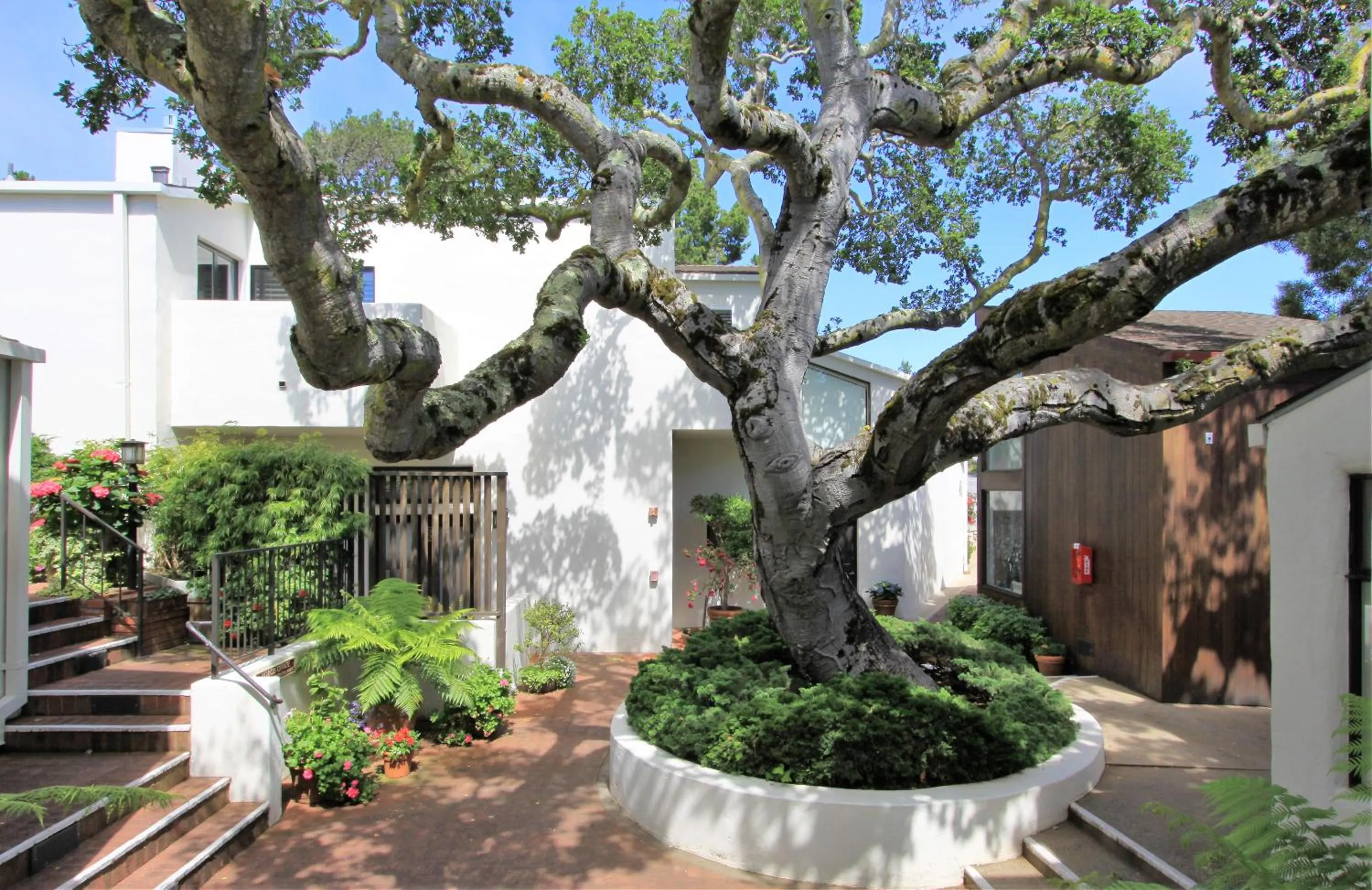 Garden in Lobos Lodge
