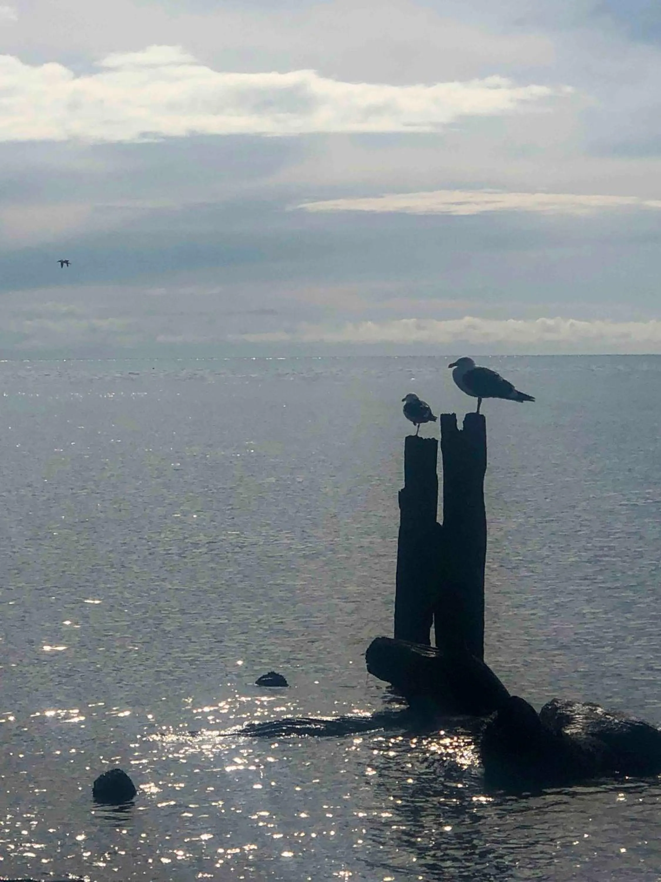 The Station House Motel