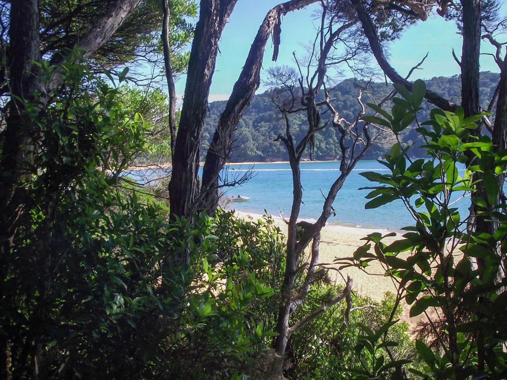 The Station House Motel