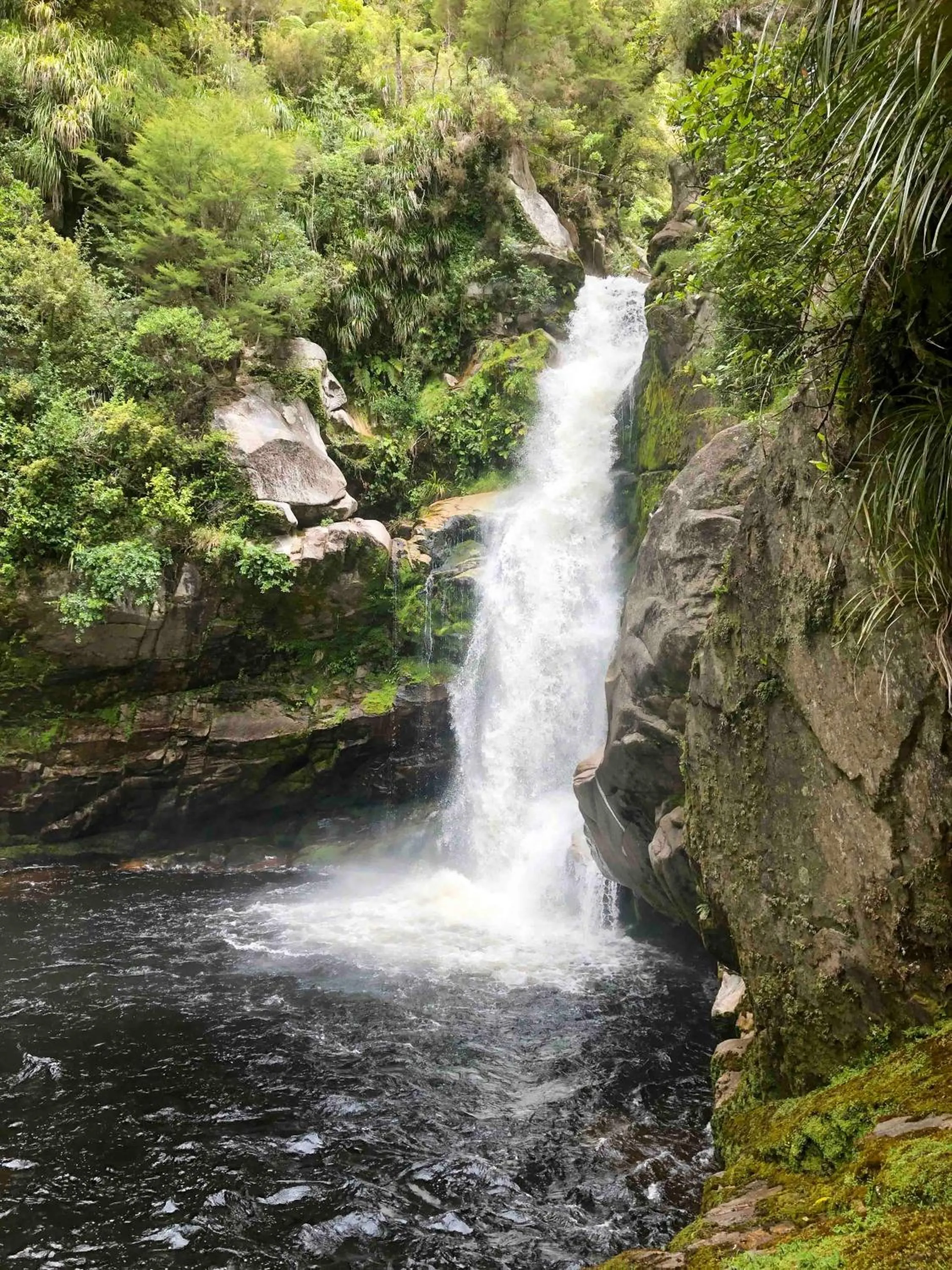 The Station House Motel