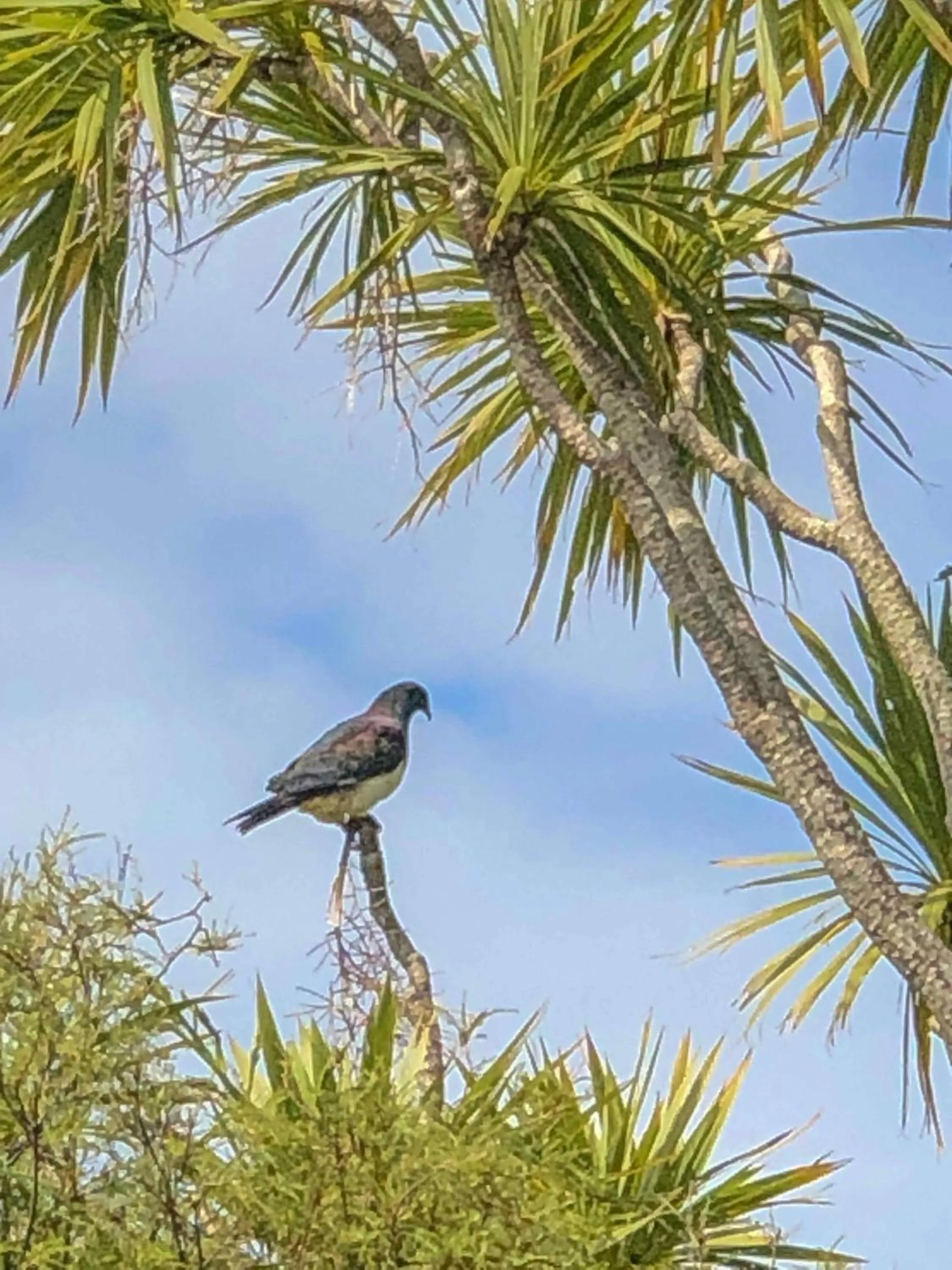 The Station House Motel