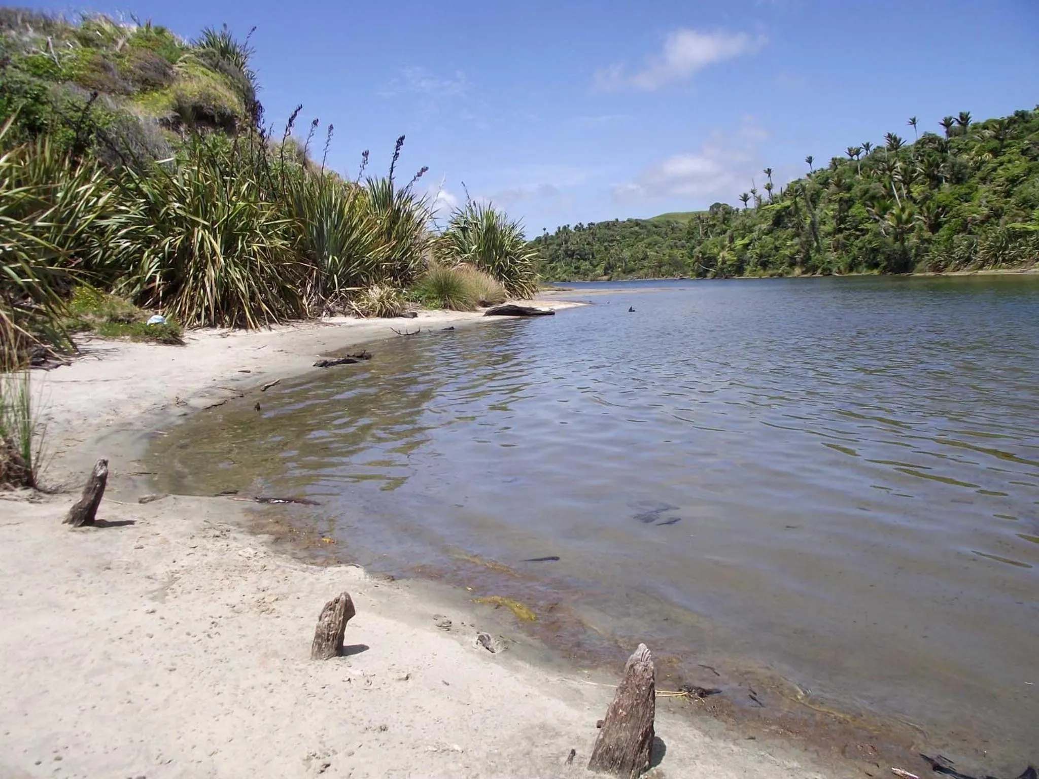 The Station House Motel