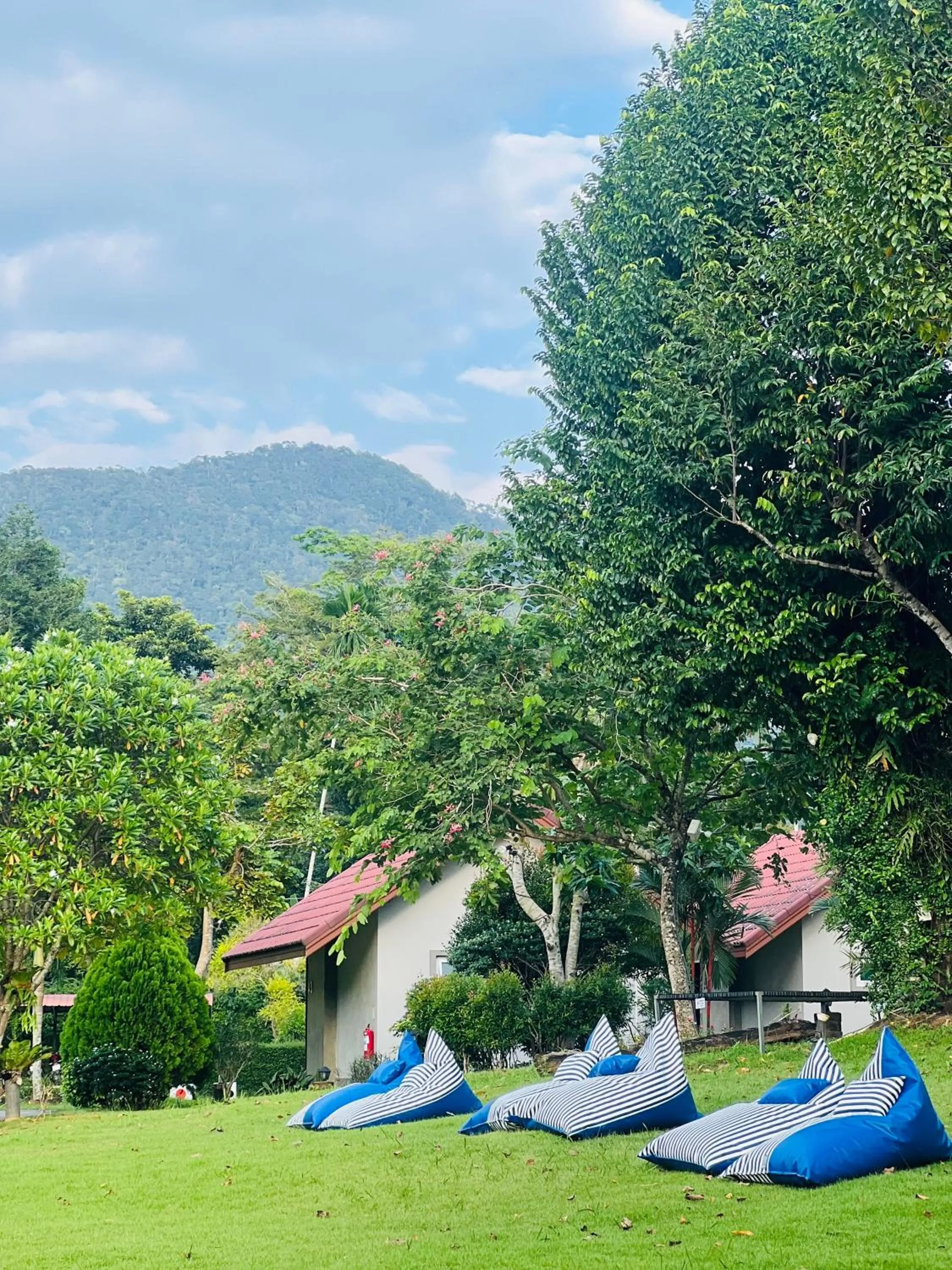 Natural landscape in Evergreen Koh Chang Resort
