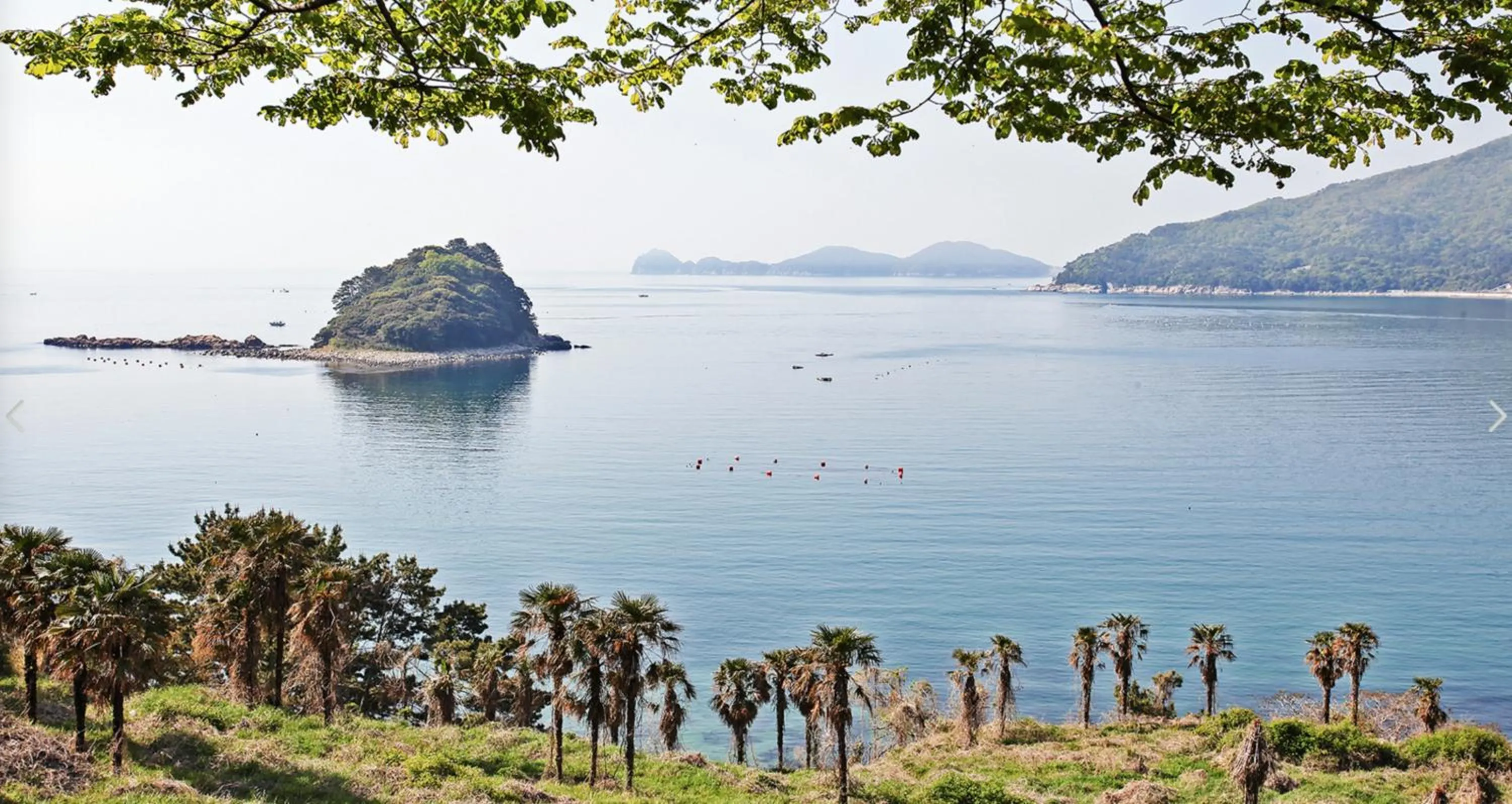 Sea view in oneday in geoje