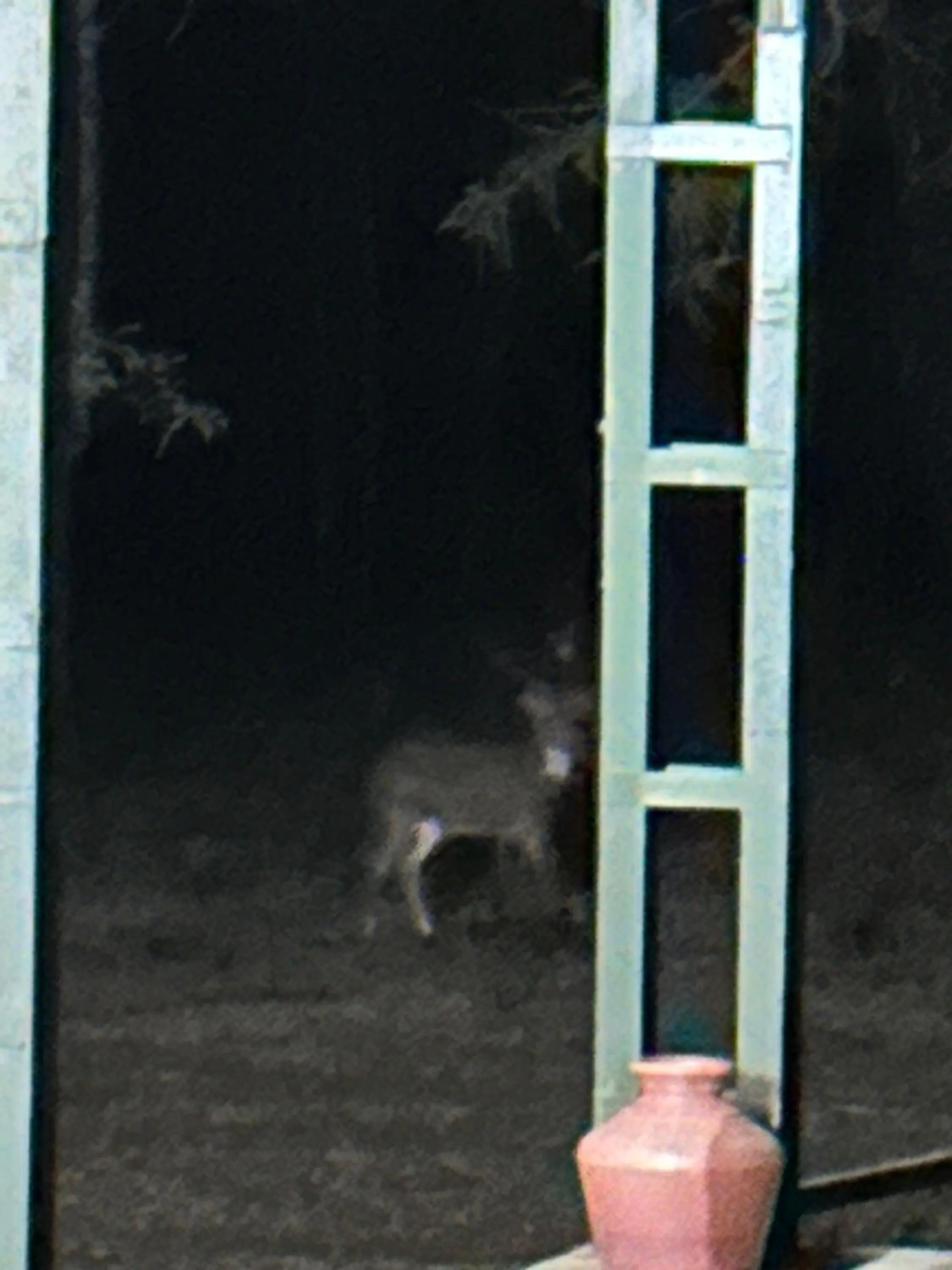 Night in Singaras Coffee Country