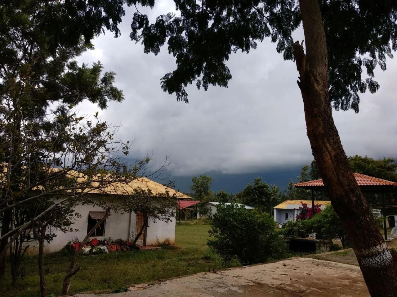 Property building in Singaras Coffee Country