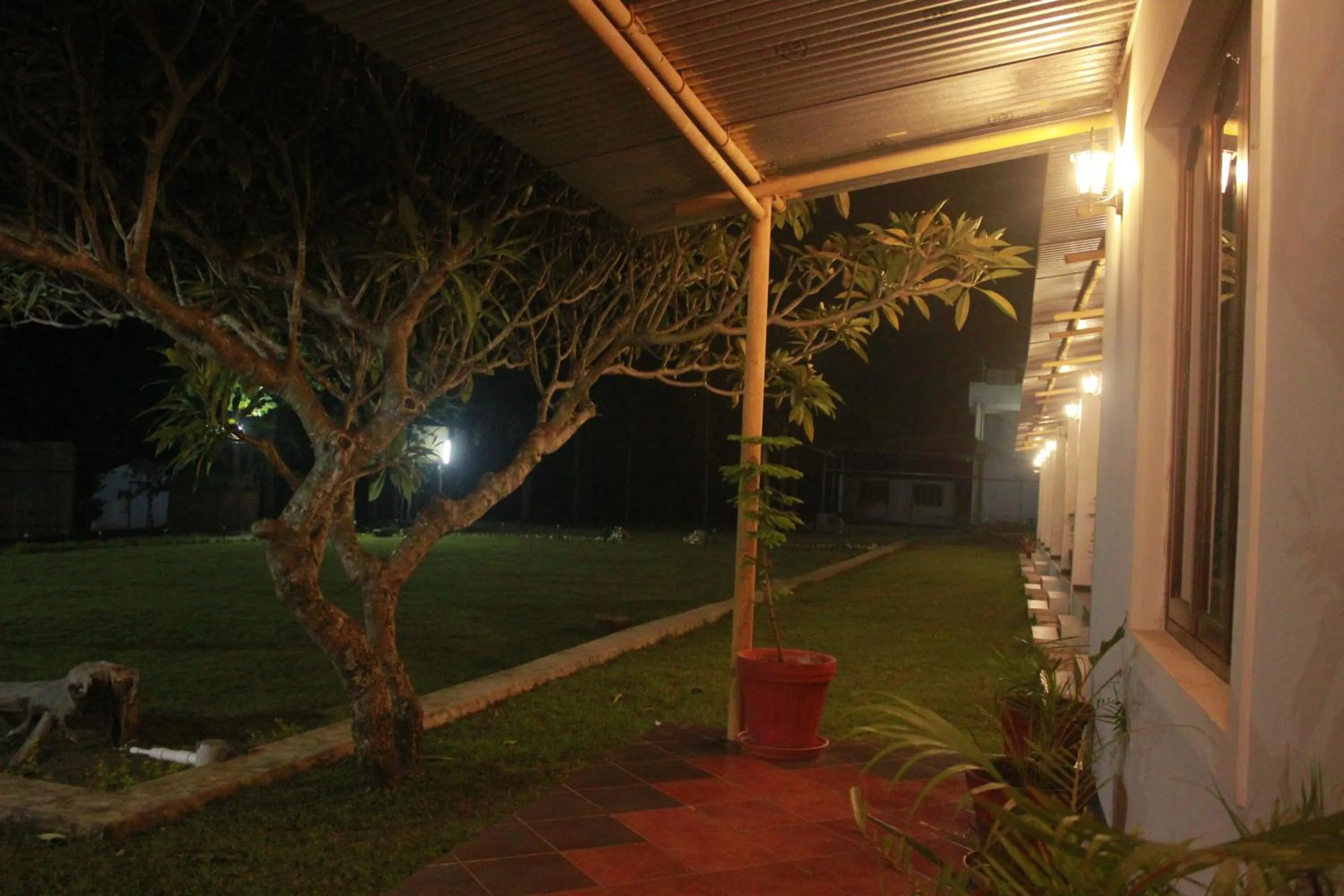 Night in Singaras Coffee Country