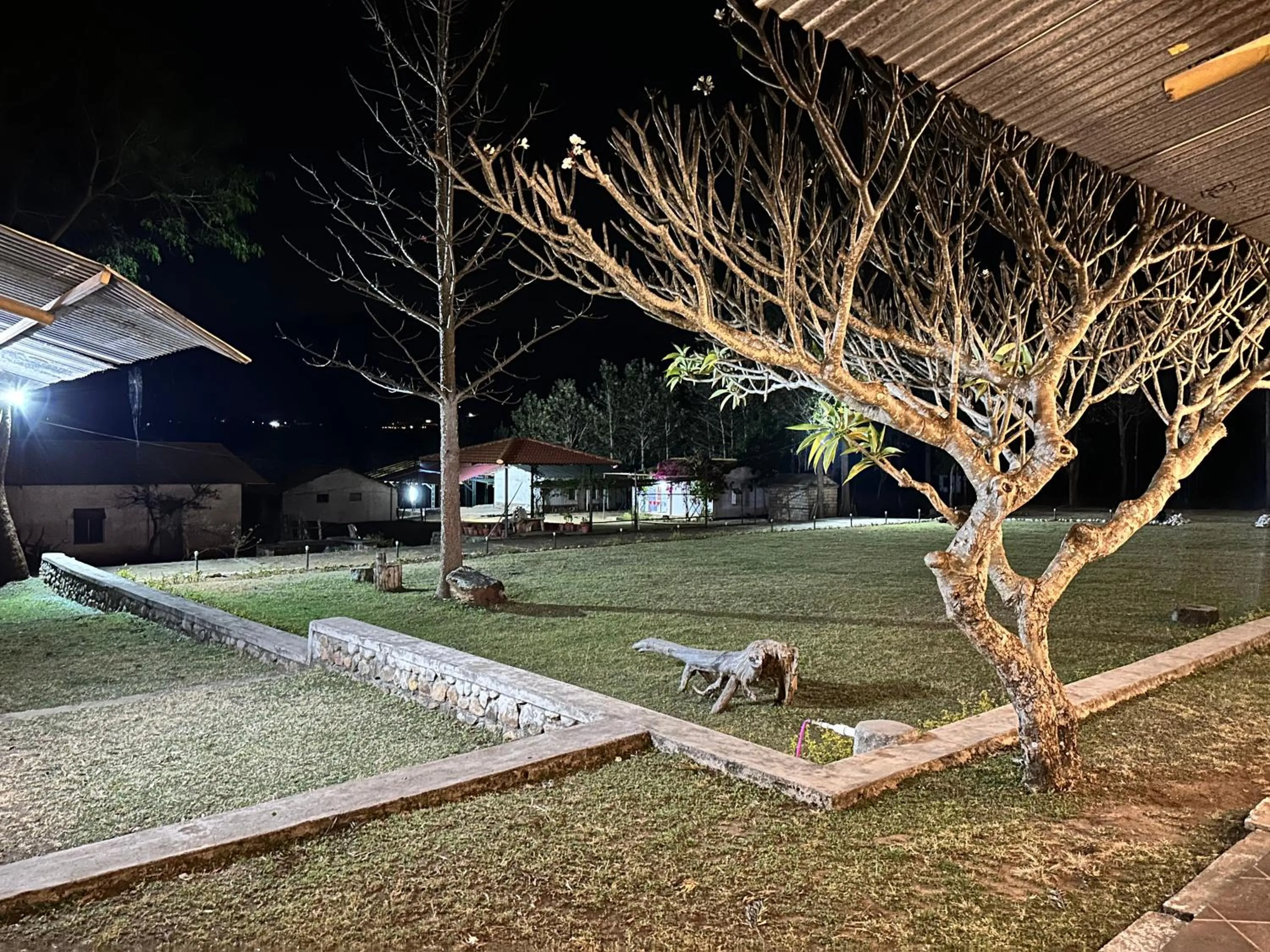 Garden in Singaras Coffee Country