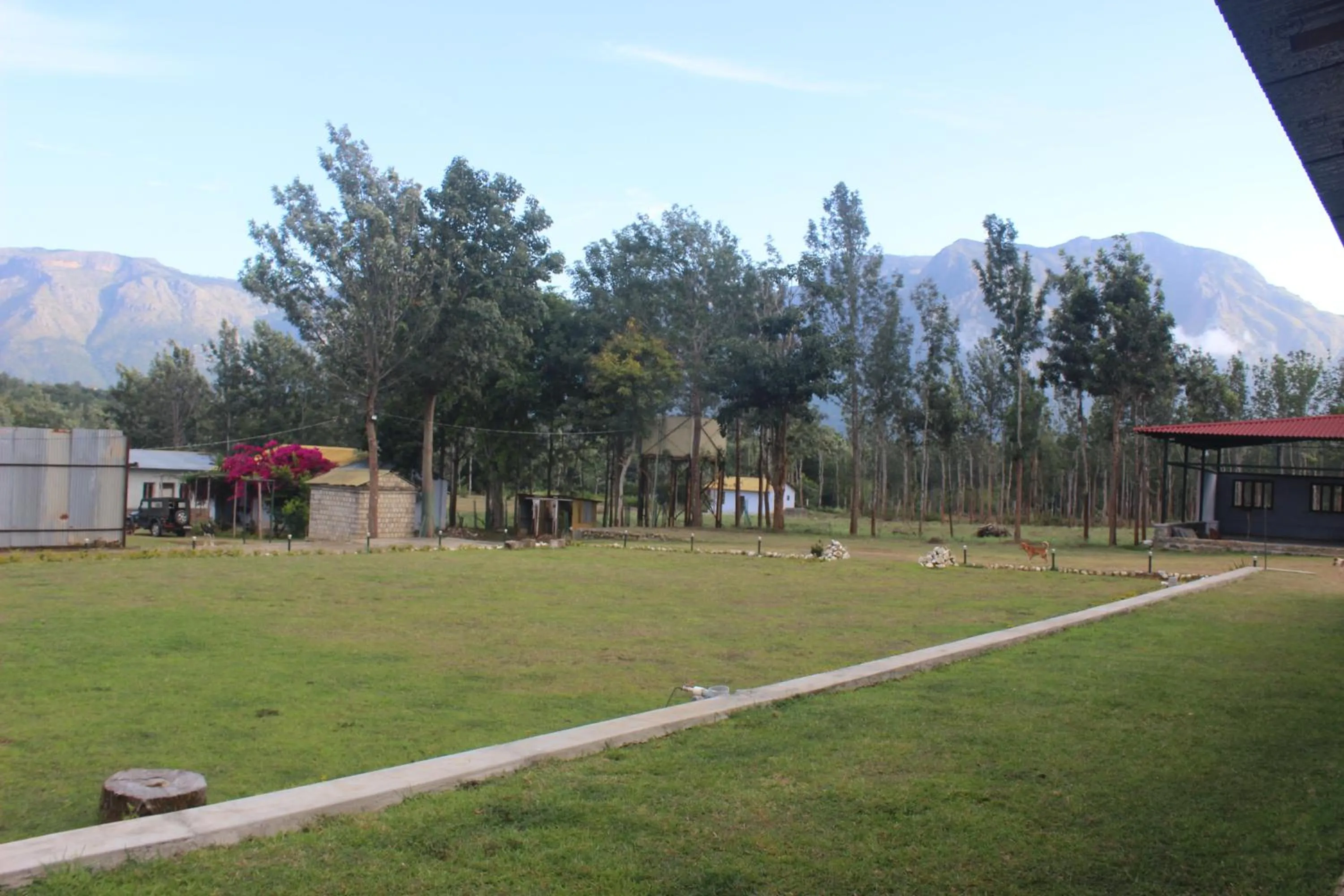 View (from property/room) in Singaras Coffee Country