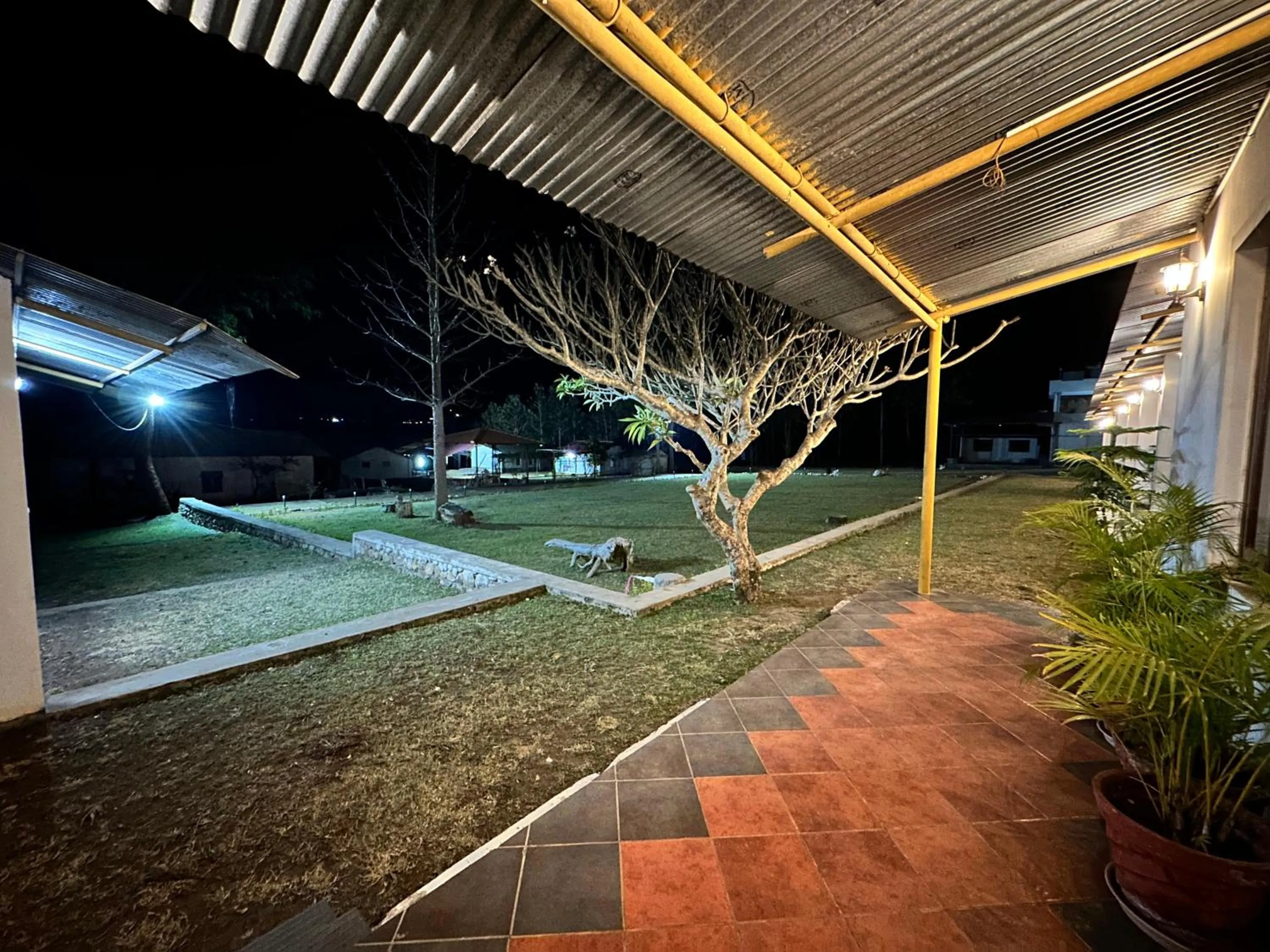 Night in Singaras Coffee Country