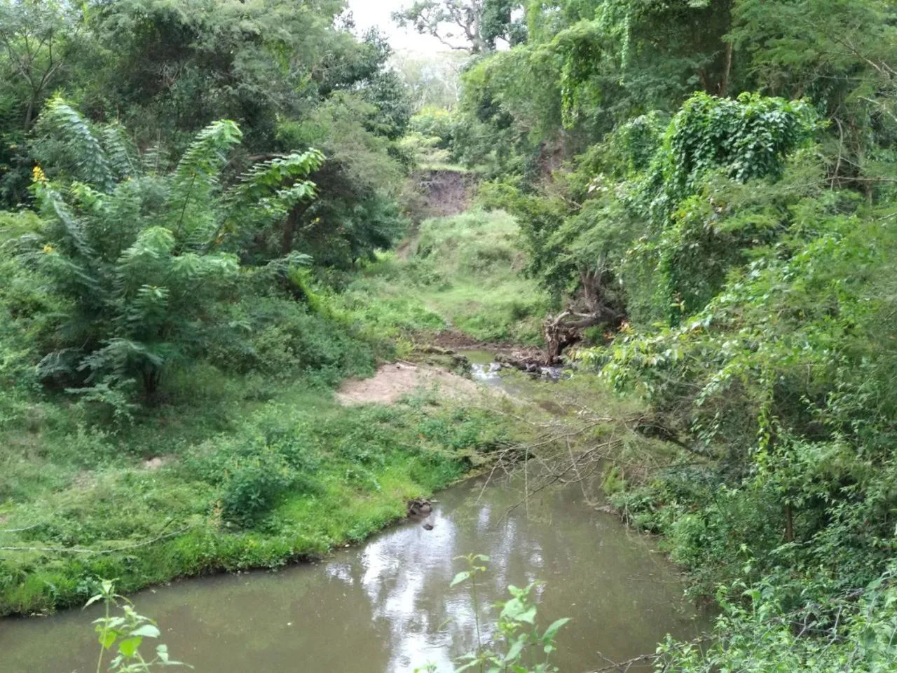 Property building in Singaras Coffee Country