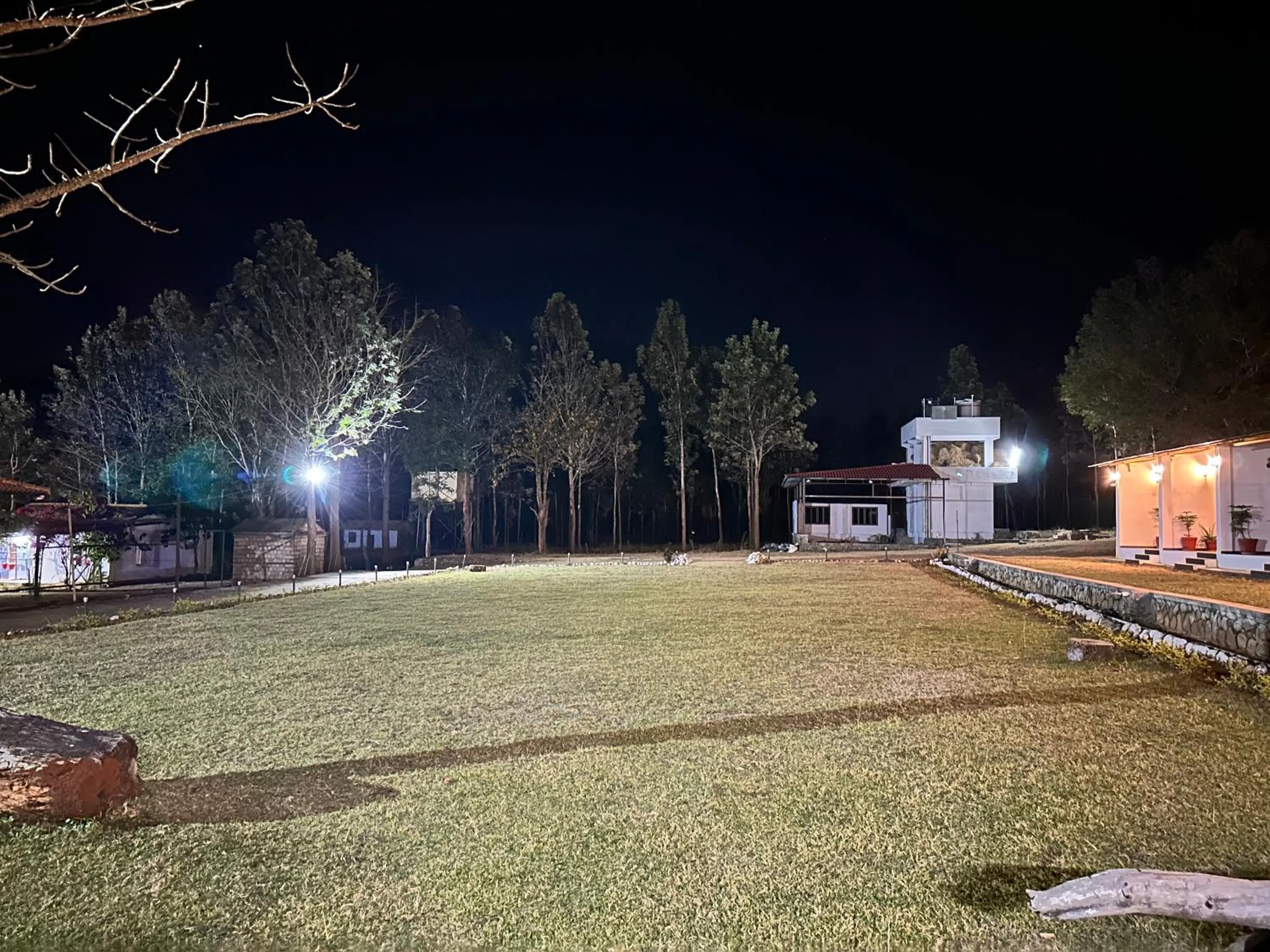 Garden in Singaras Coffee Country