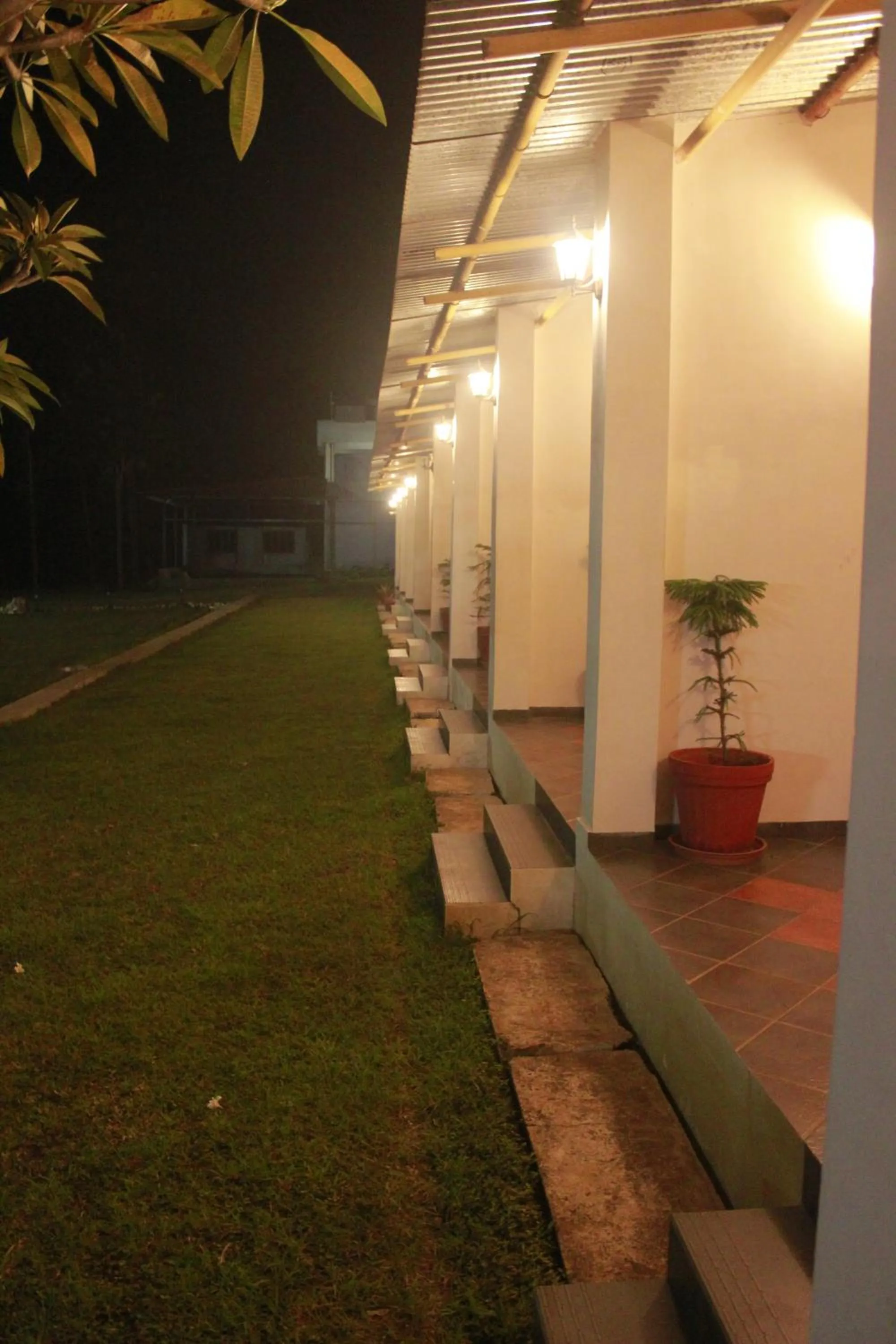 Night in Singaras Coffee Country