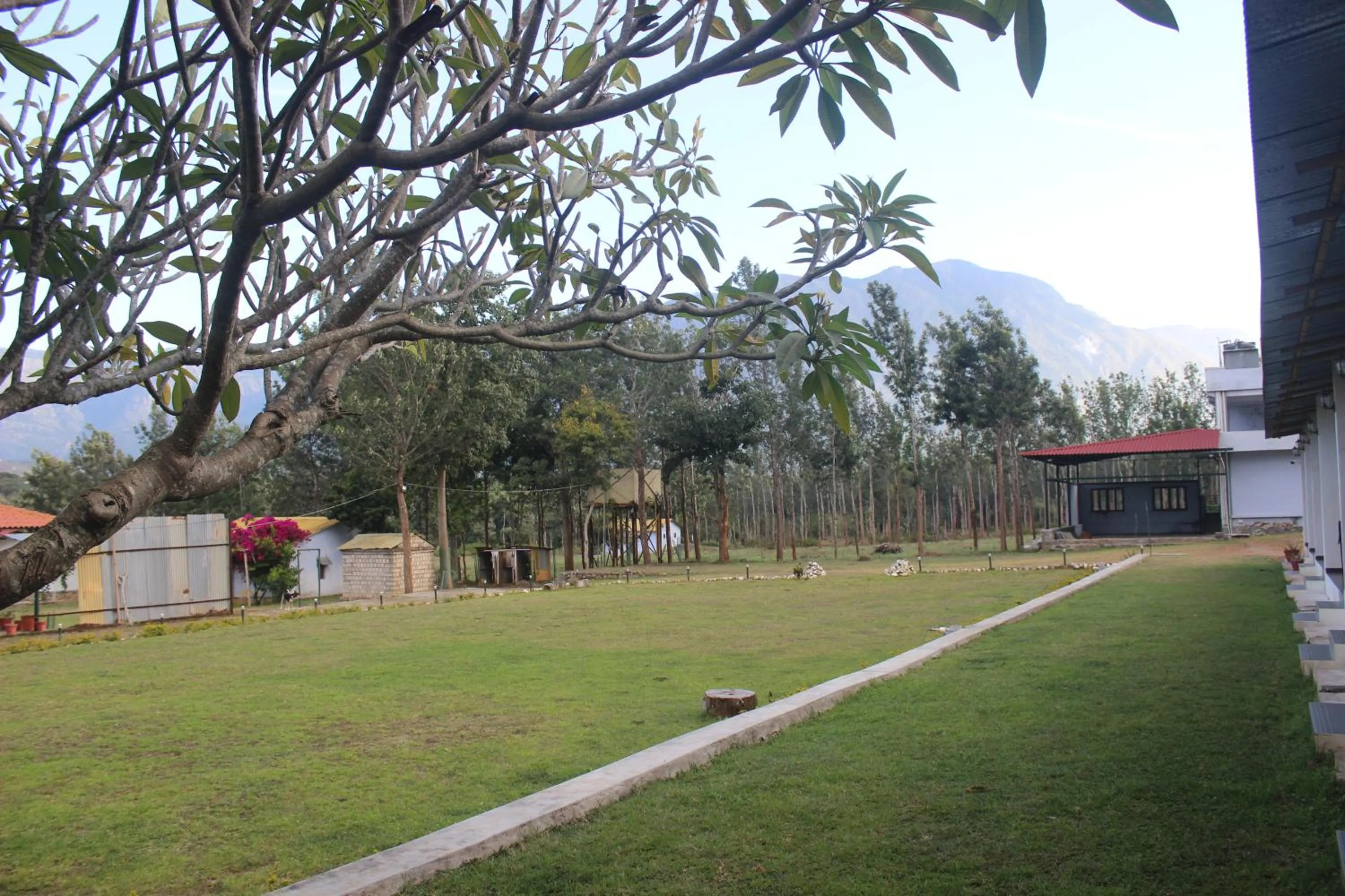 Garden in Singaras Coffee Country
