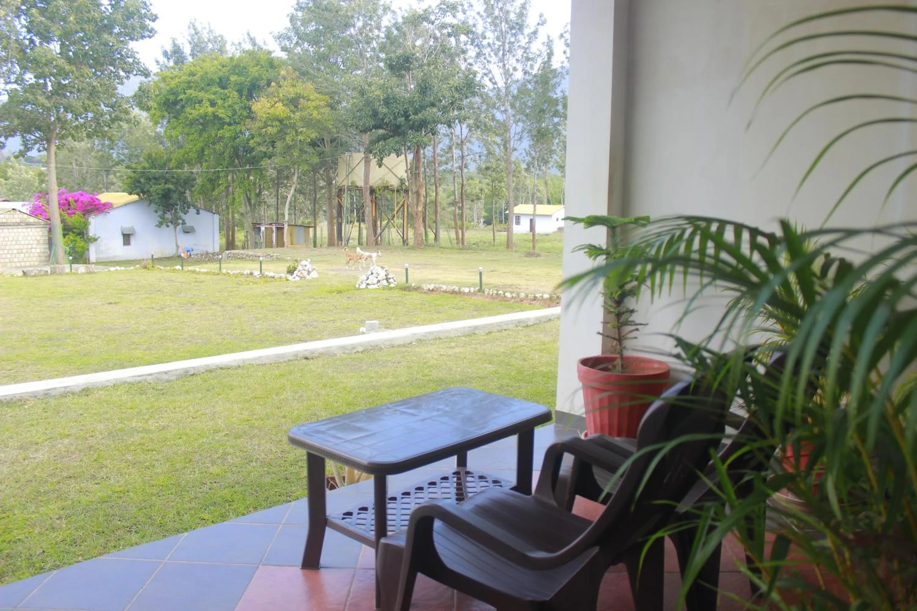 Balcony/Terrace in Singaras Coffee Country