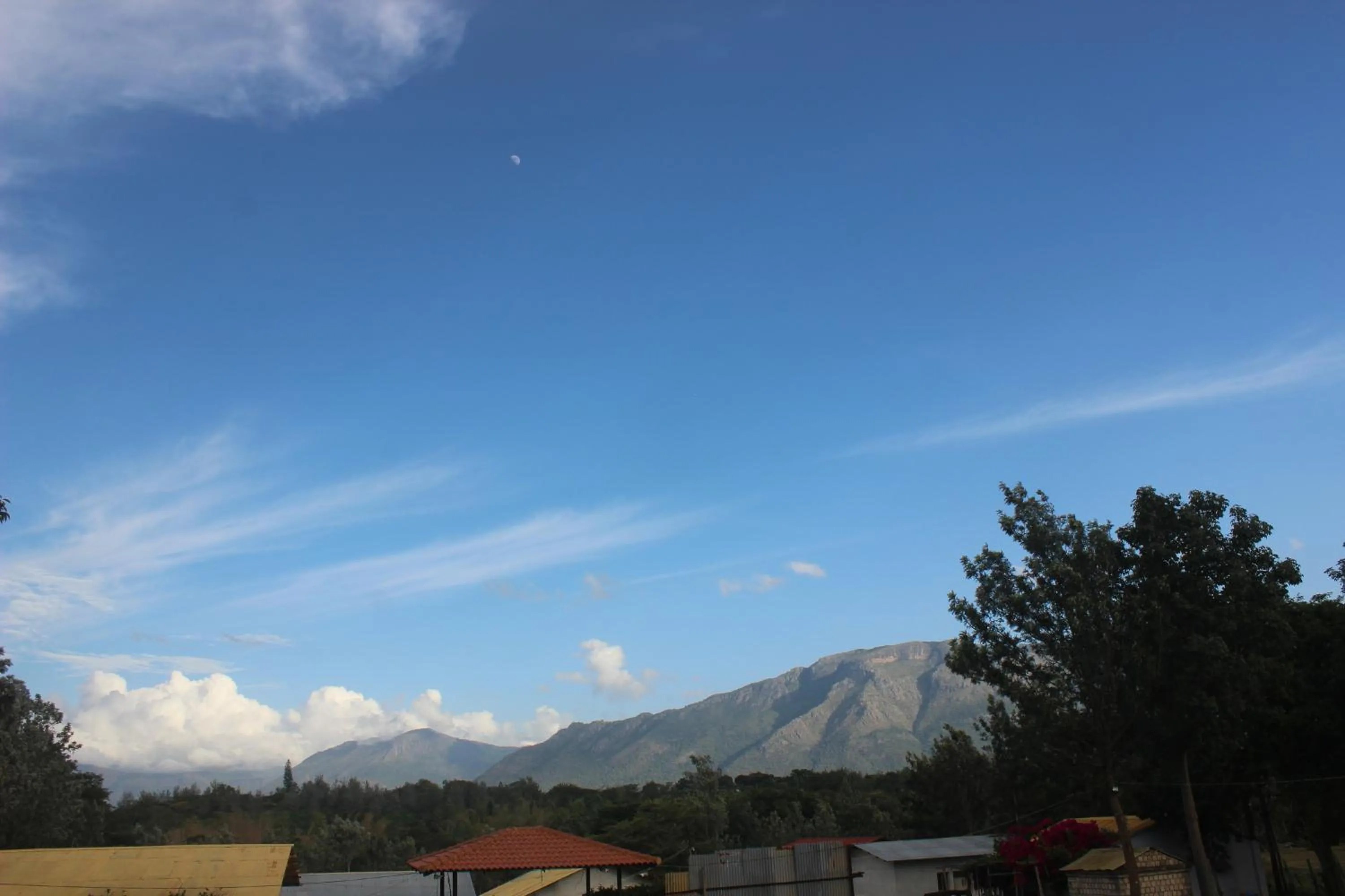 View (from property/room) in Singaras Coffee Country