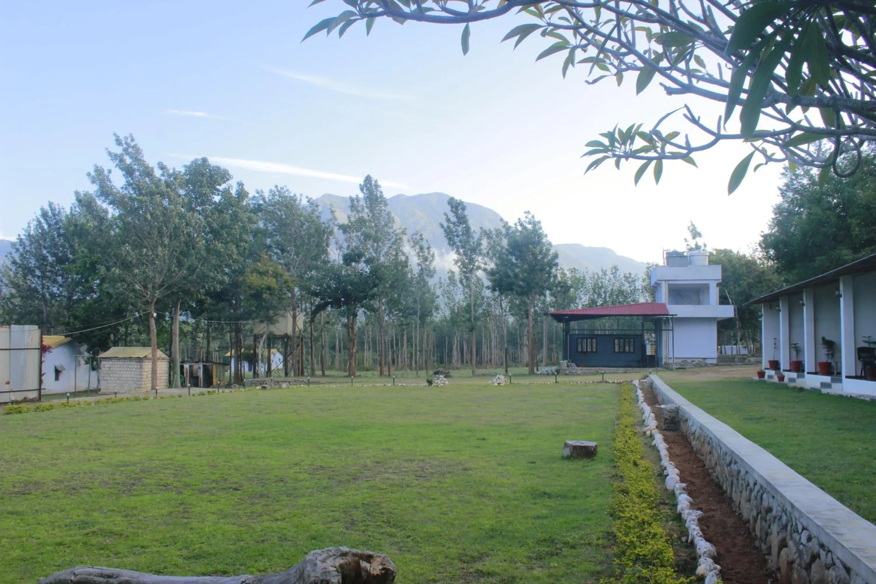 View (from property/room) in Singaras Coffee Country