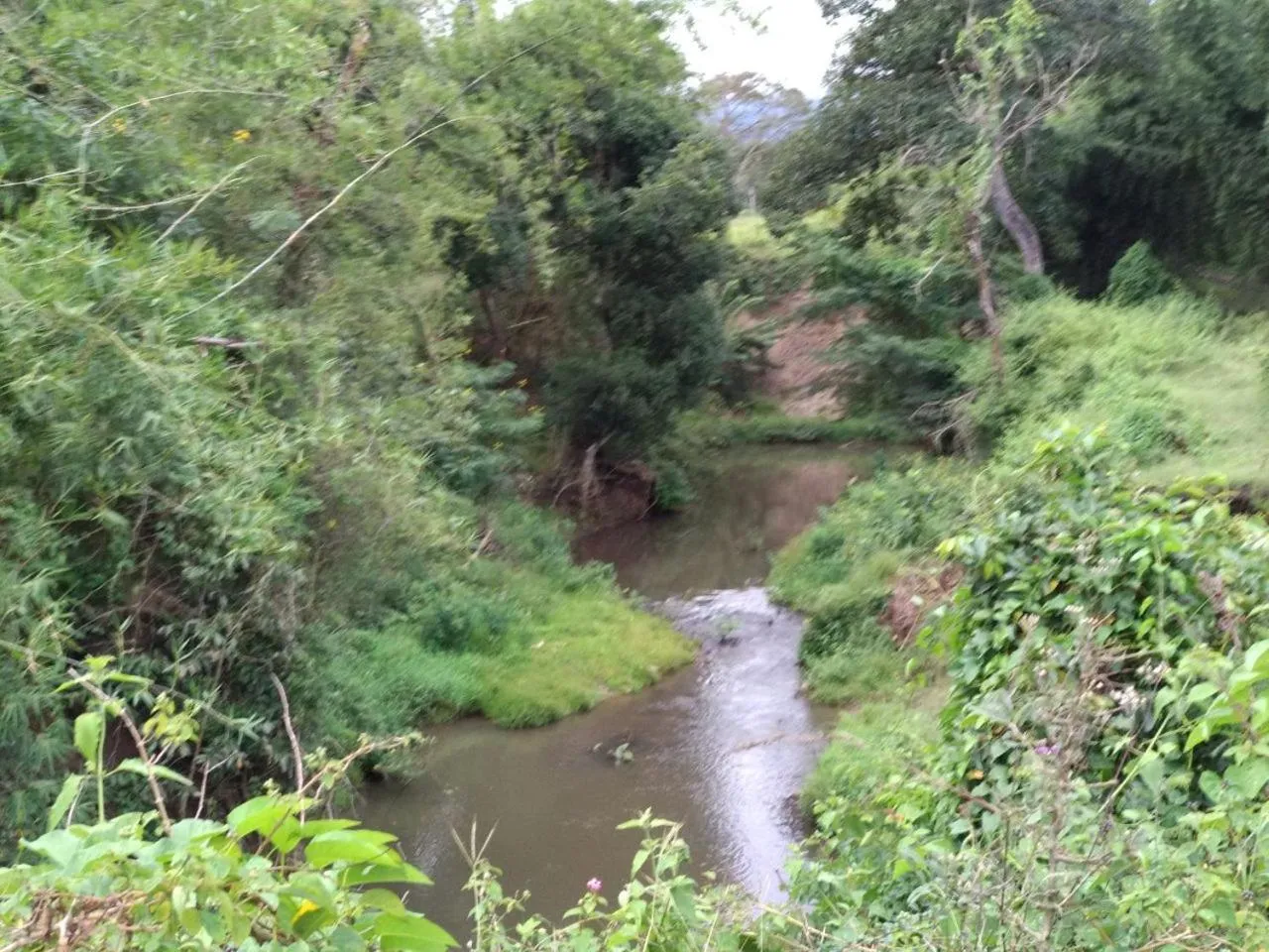 Property building in Singaras Coffee Country