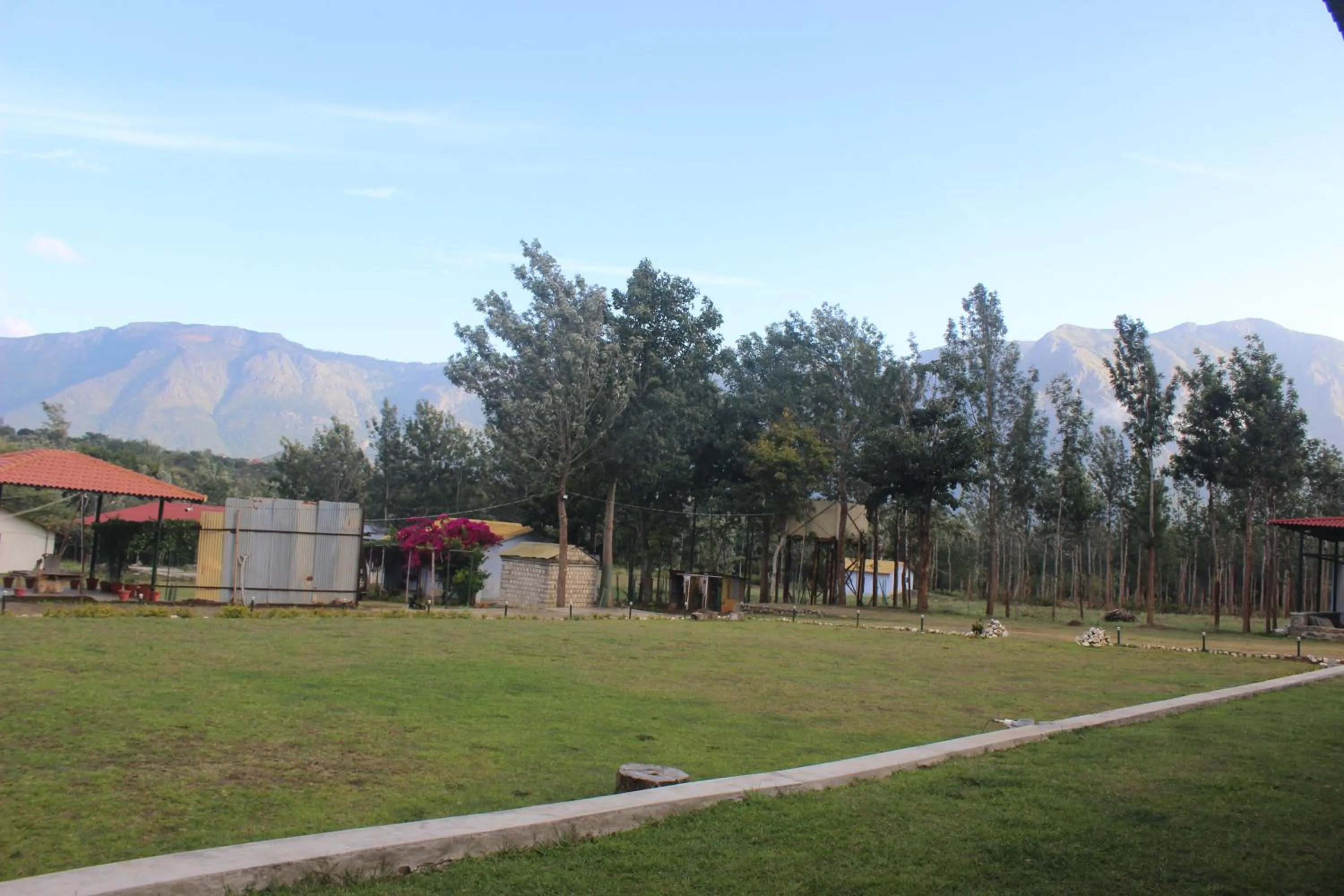 View (from property/room) in Singaras Coffee Country