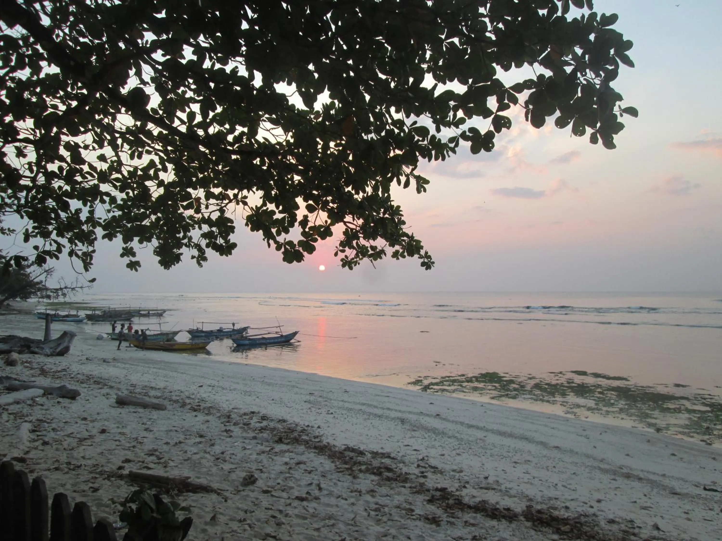 Pool view in Kambuna Bungalow