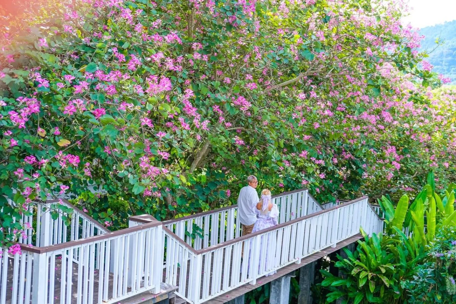 View (from property/room) in Vivace Khaoyai