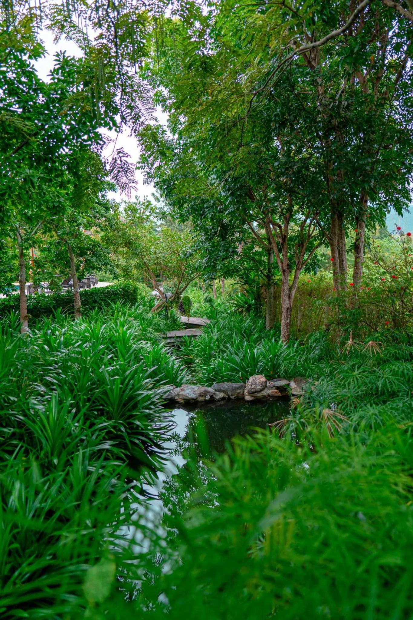 Inner courtyard view in Vivace Khaoyai