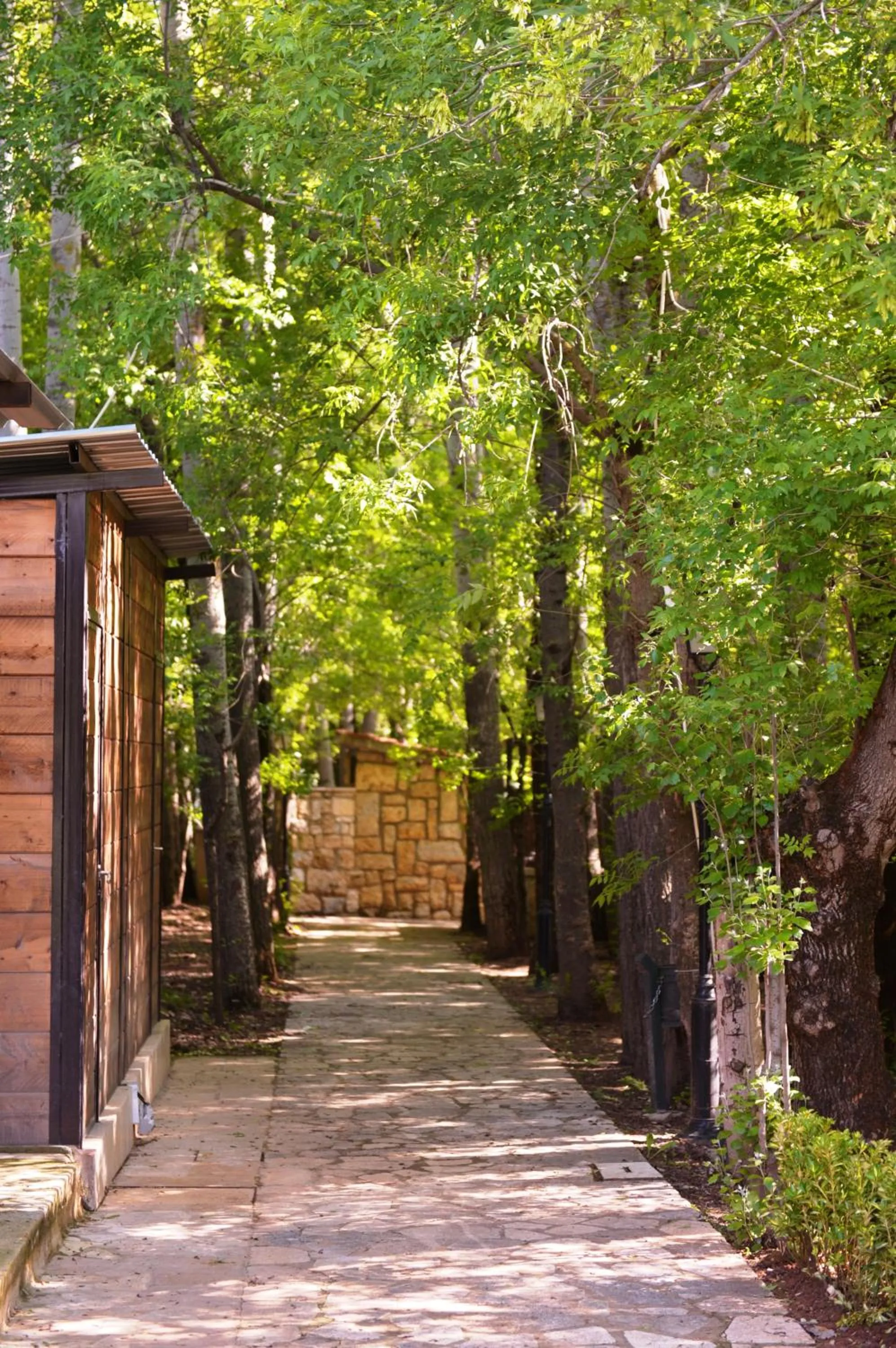 Garden in Massabki Hotel