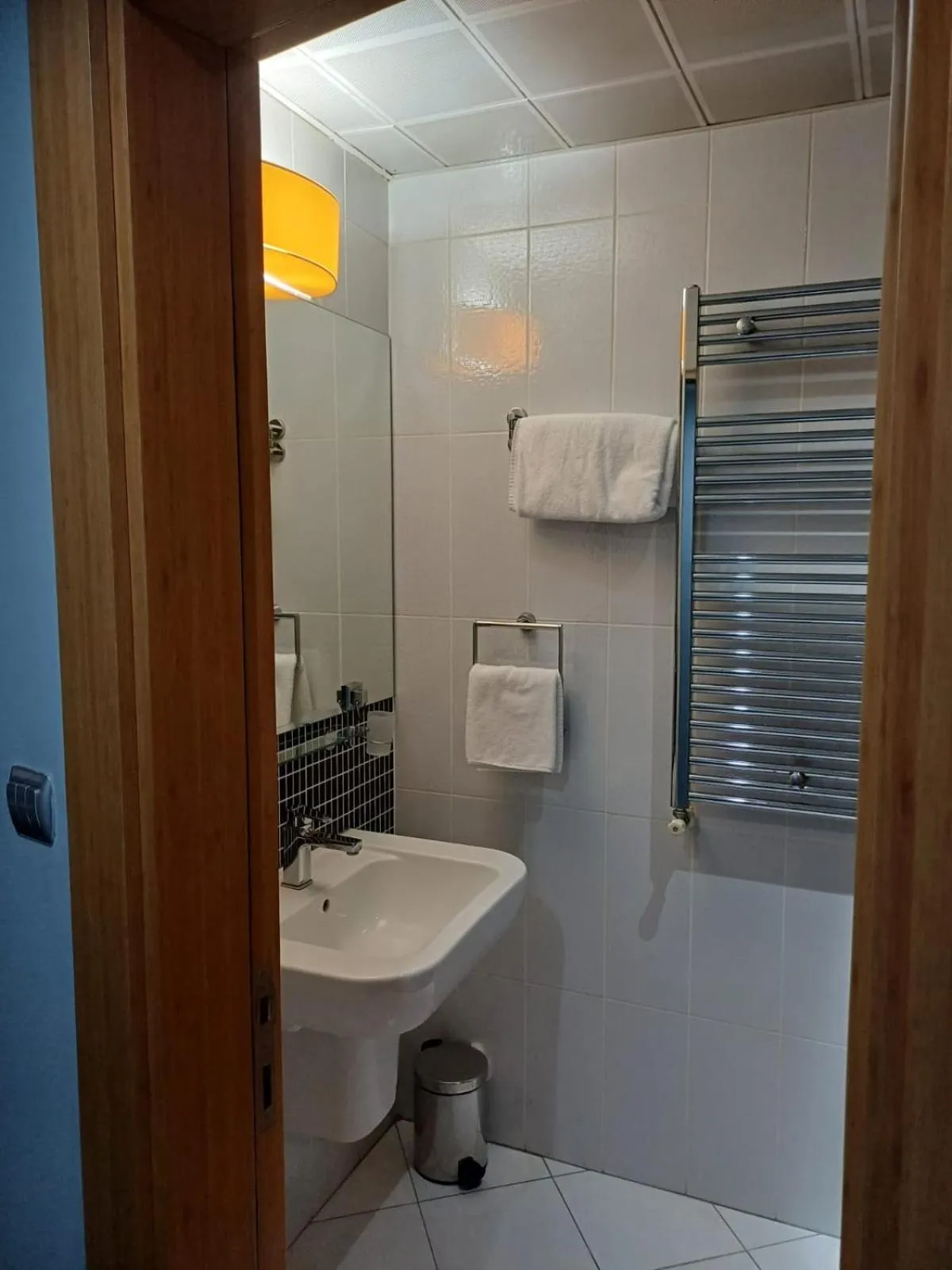 Bathroom in Golden Palas Hotel