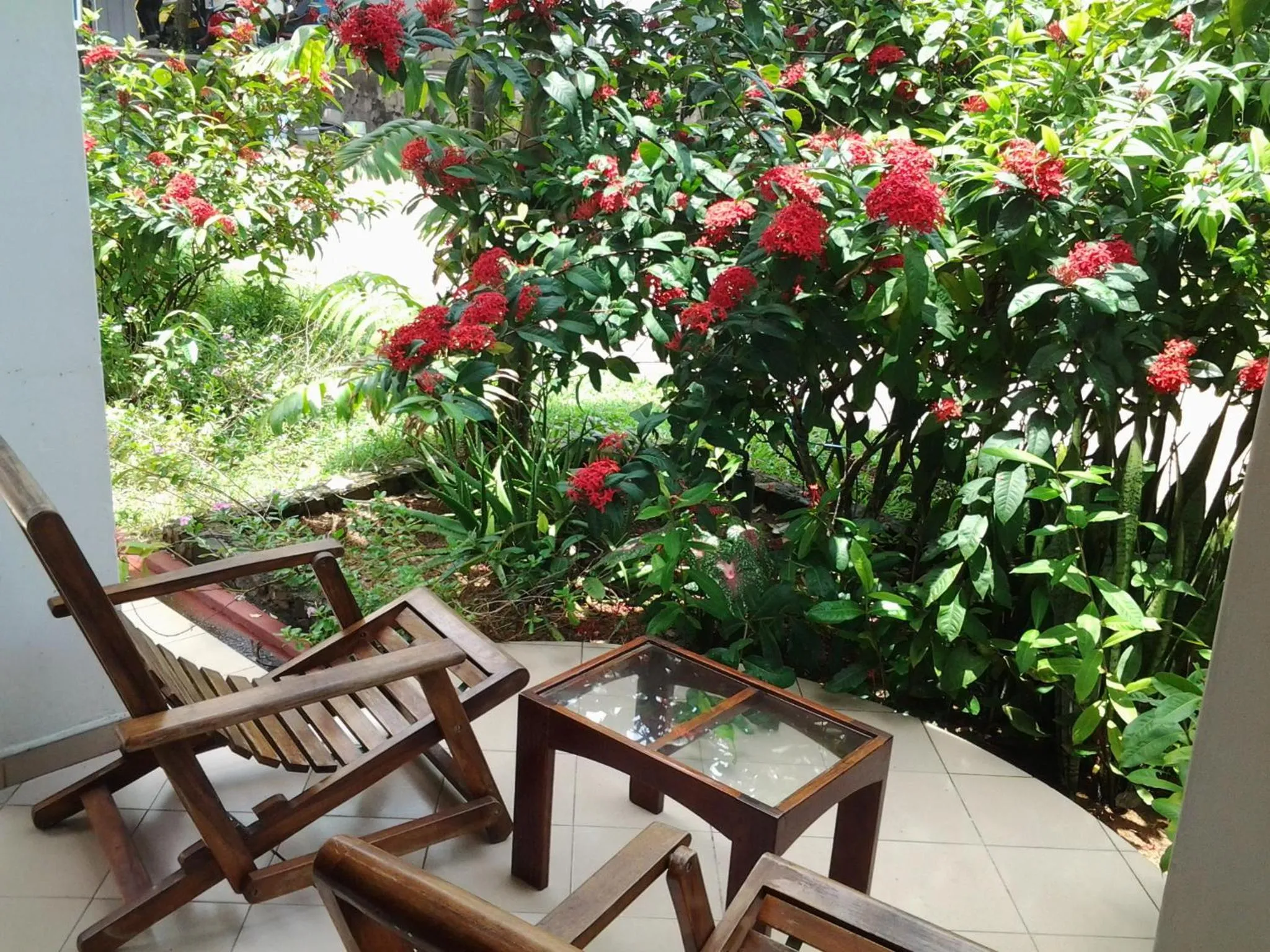 Balcony/Terrace in Tandem Guesthouse