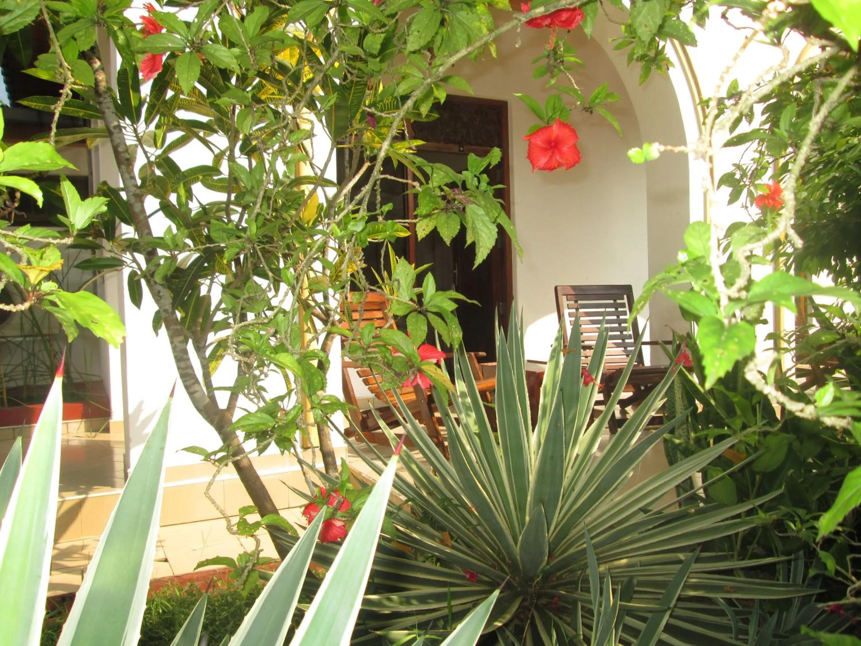 Day in Tandem Guesthouse