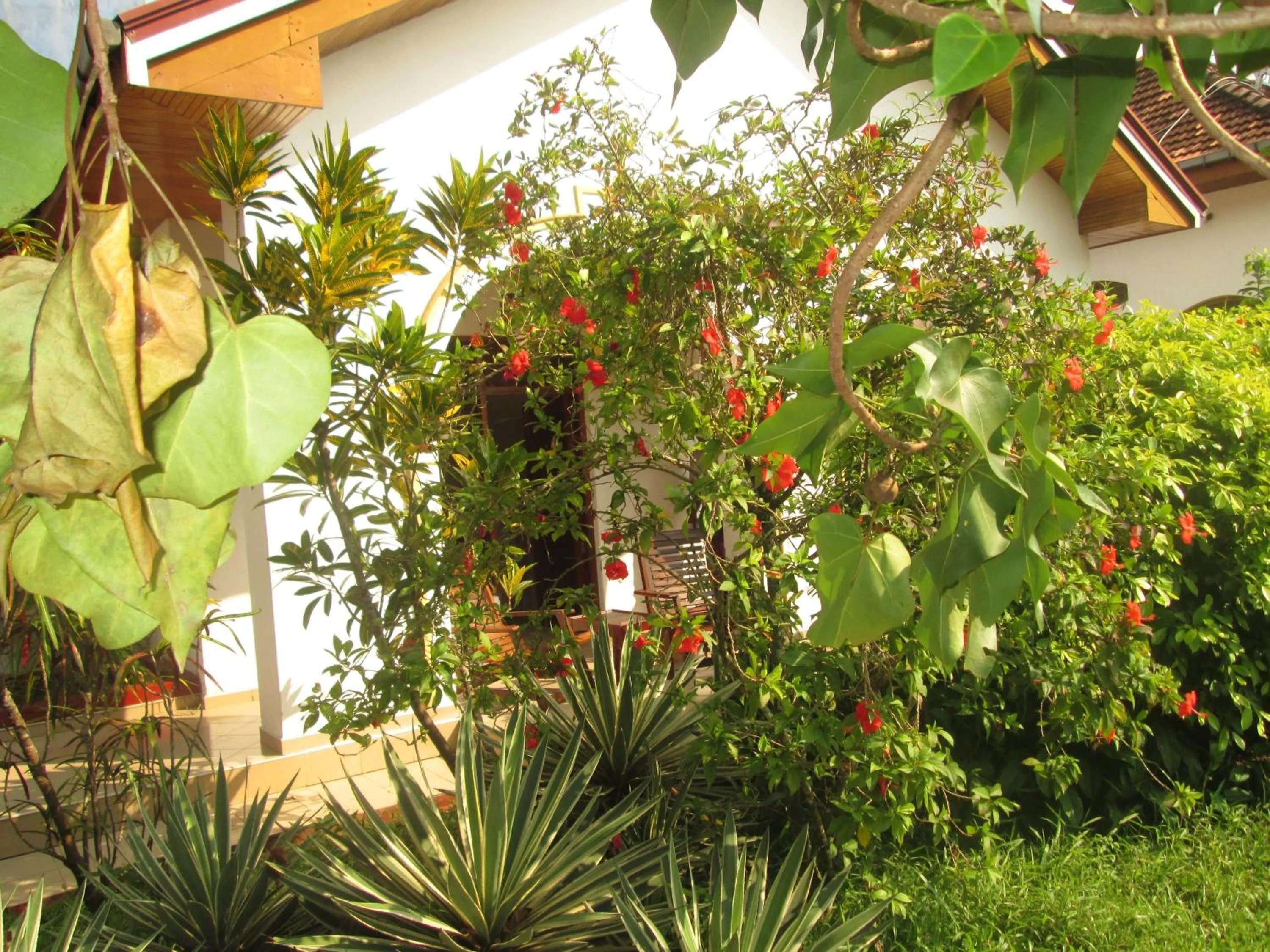 Day in Tandem Guesthouse