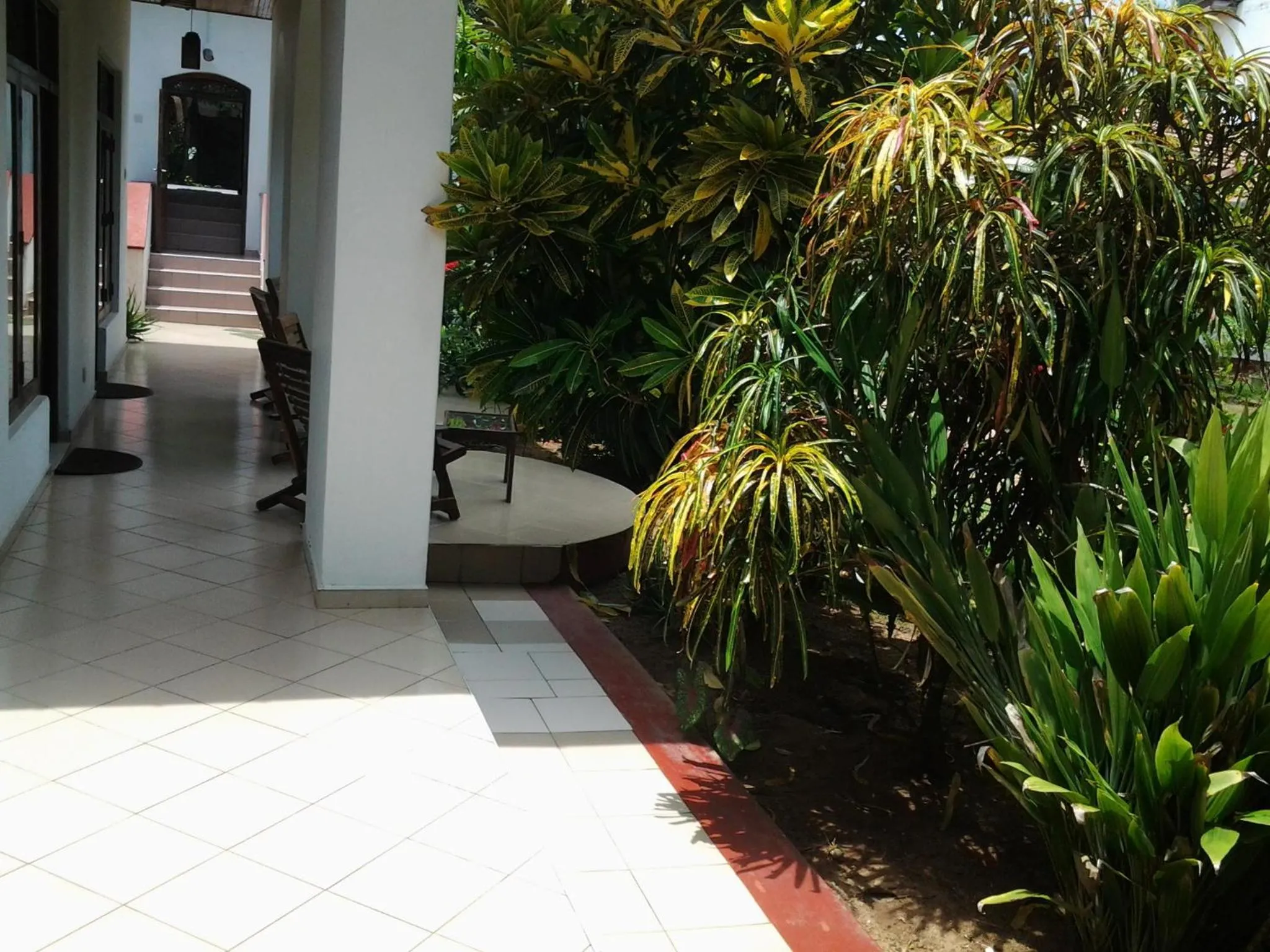 Garden in Tandem Guesthouse