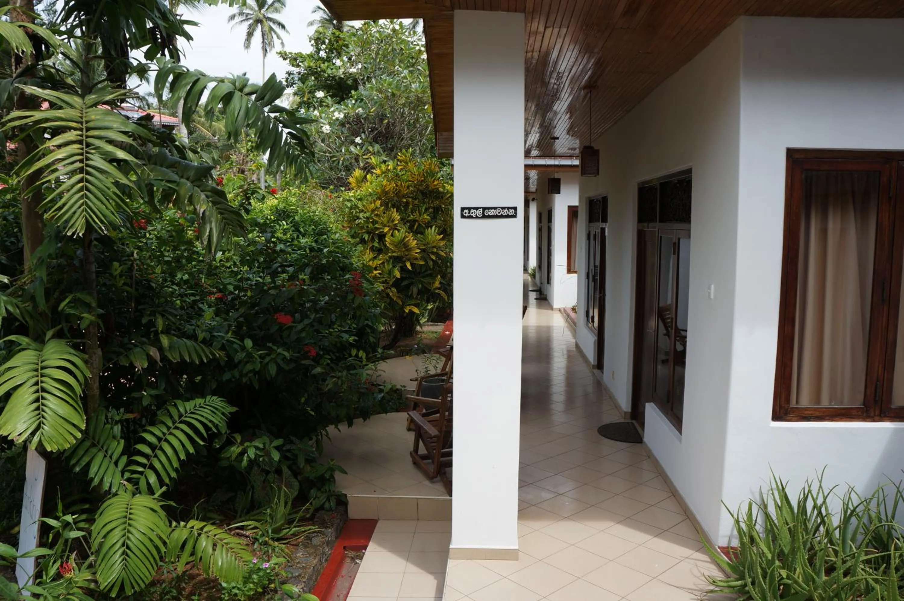 Garden view in Tandem Guesthouse
