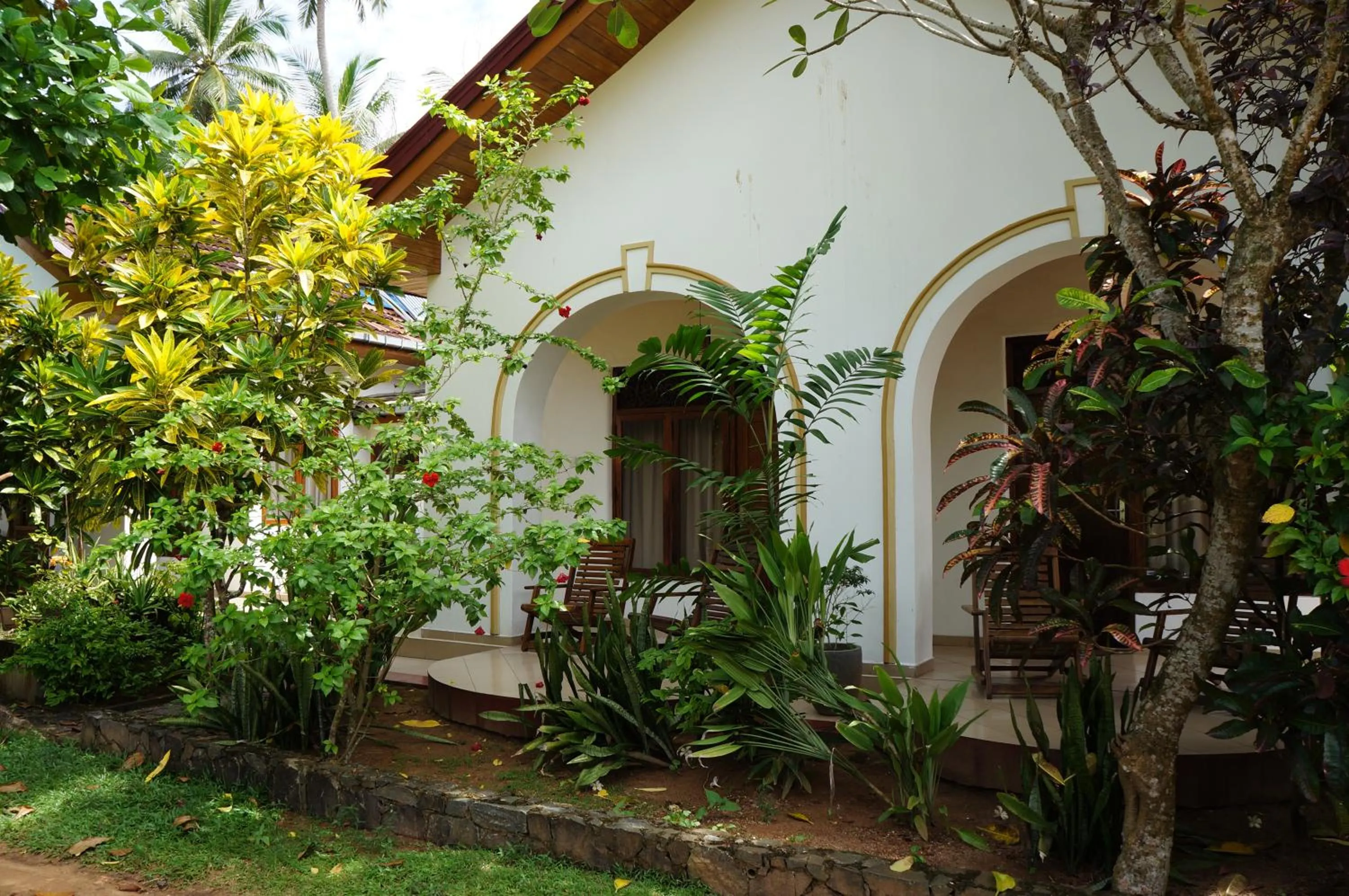 Garden view in Tandem Guesthouse